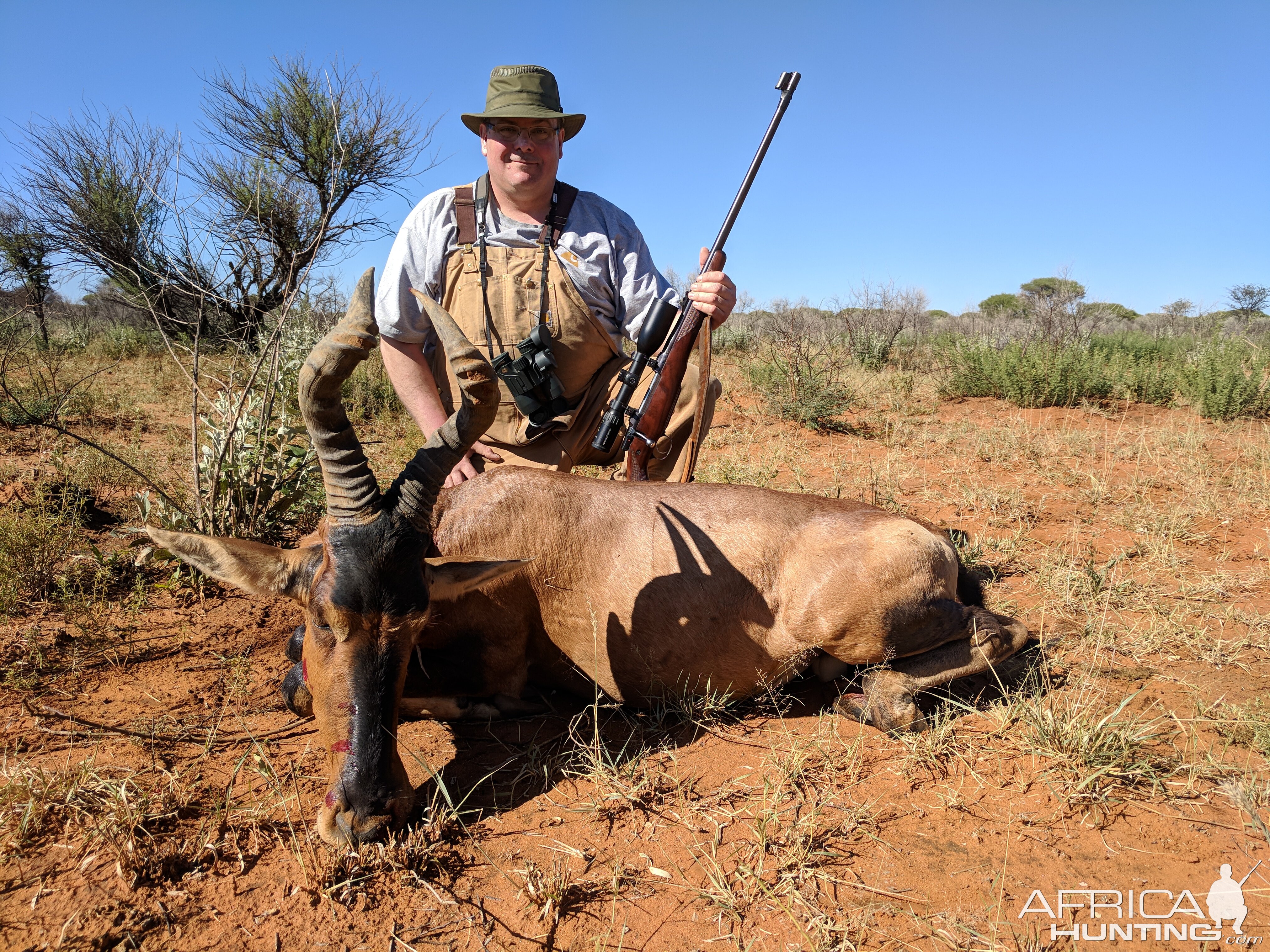 Namibia Hunting Red Hartebeest