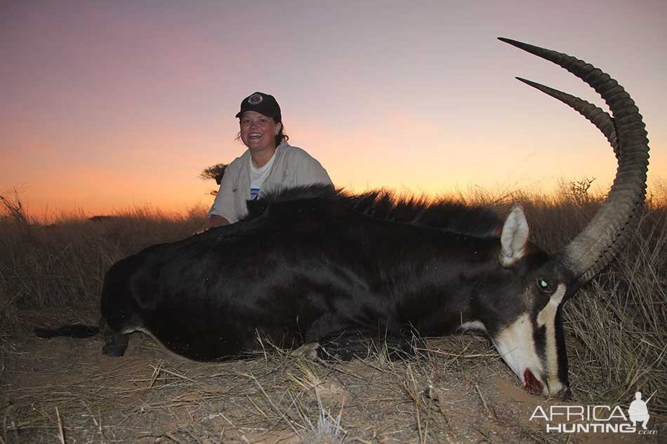 Namibia Hunting Sable Antelope