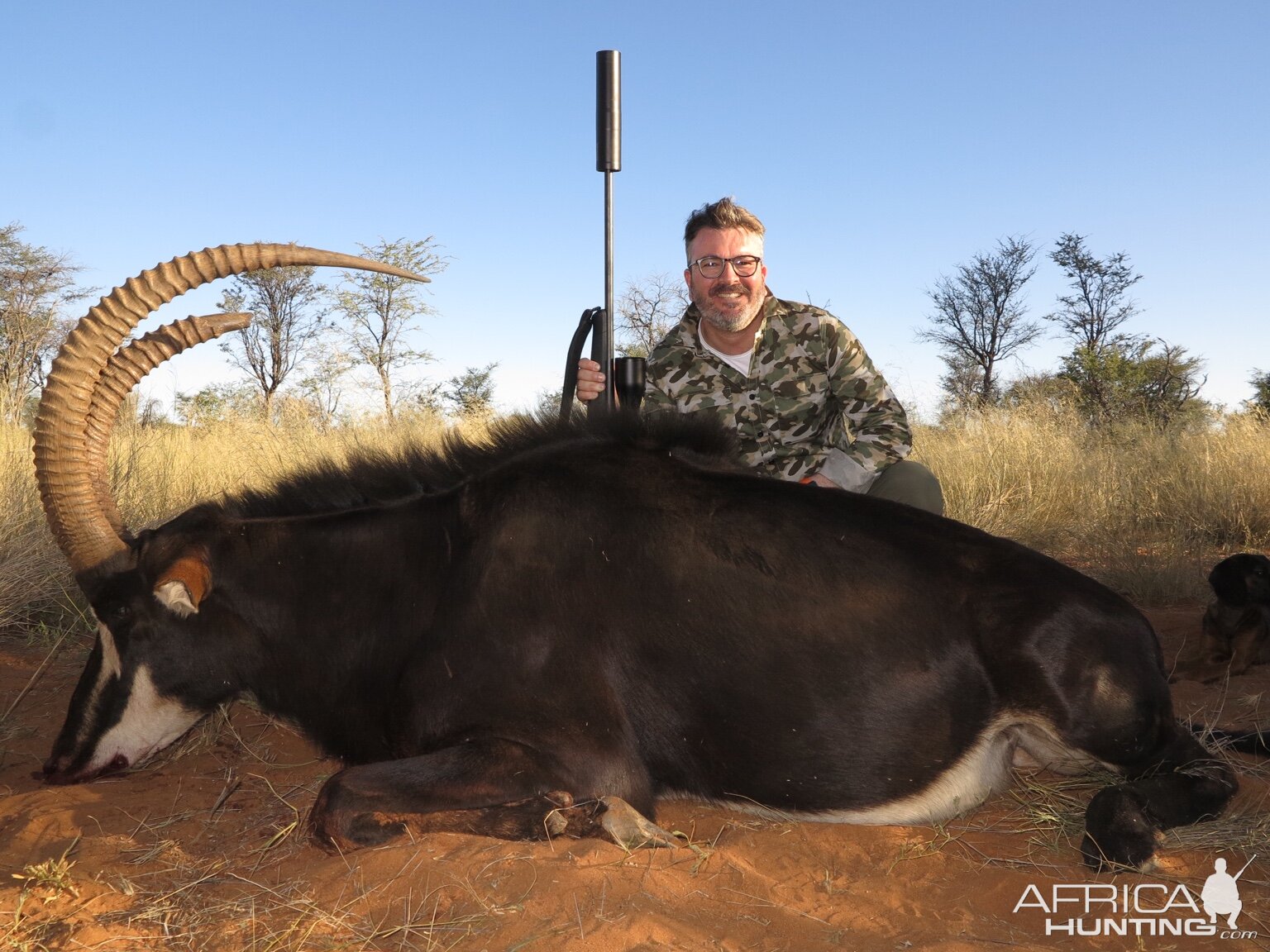 Namibia Hunting Sable Antelope