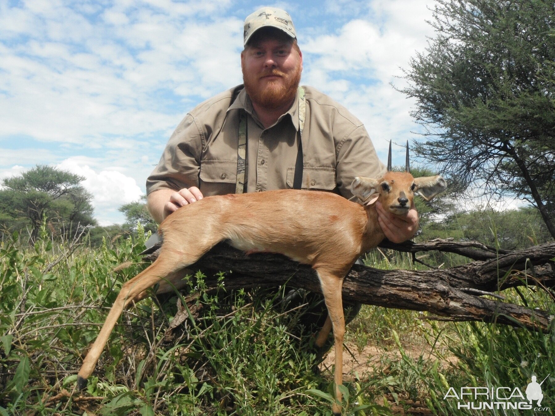 Namibia Hunting Steenbok