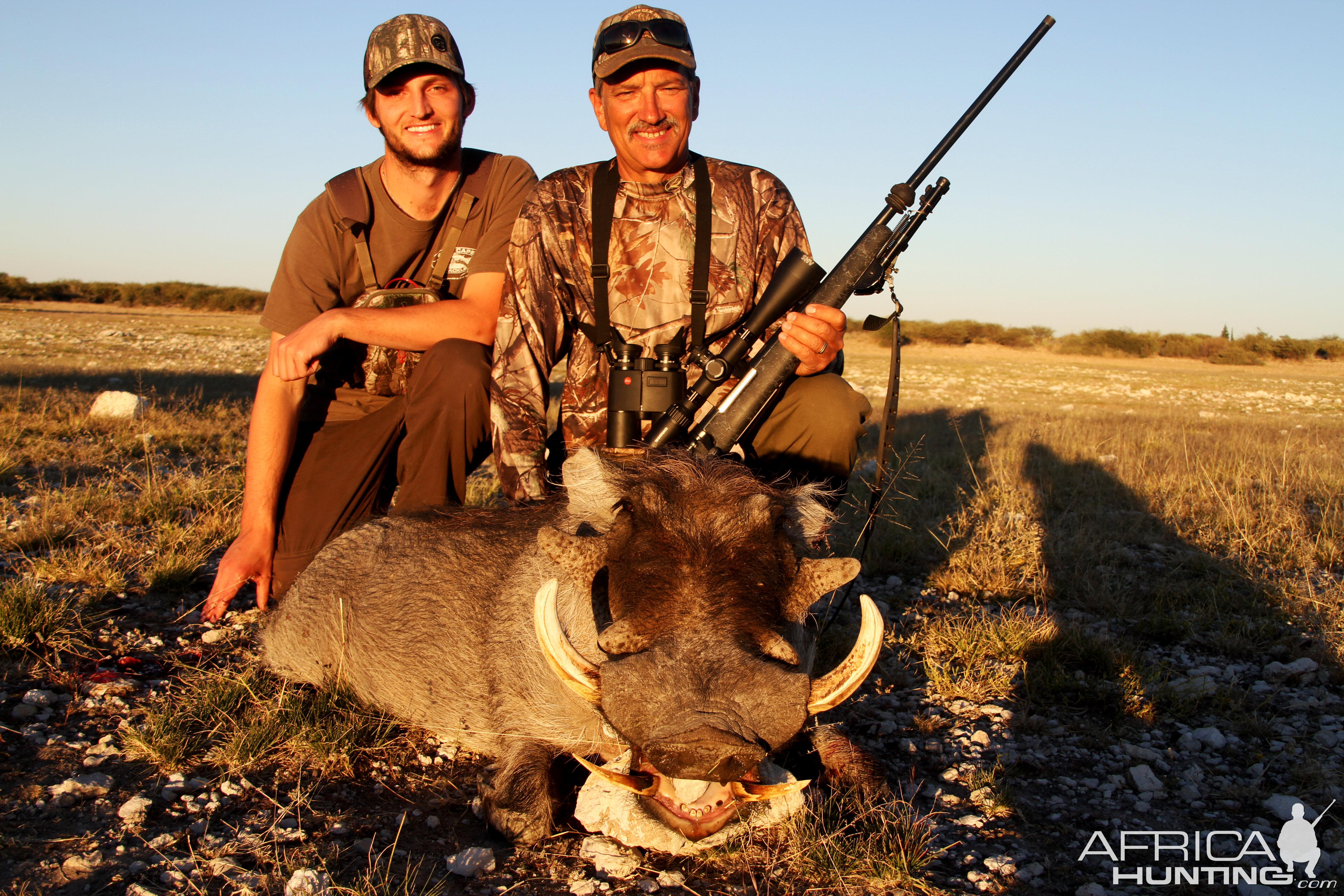 Namibia Hunting Warthog