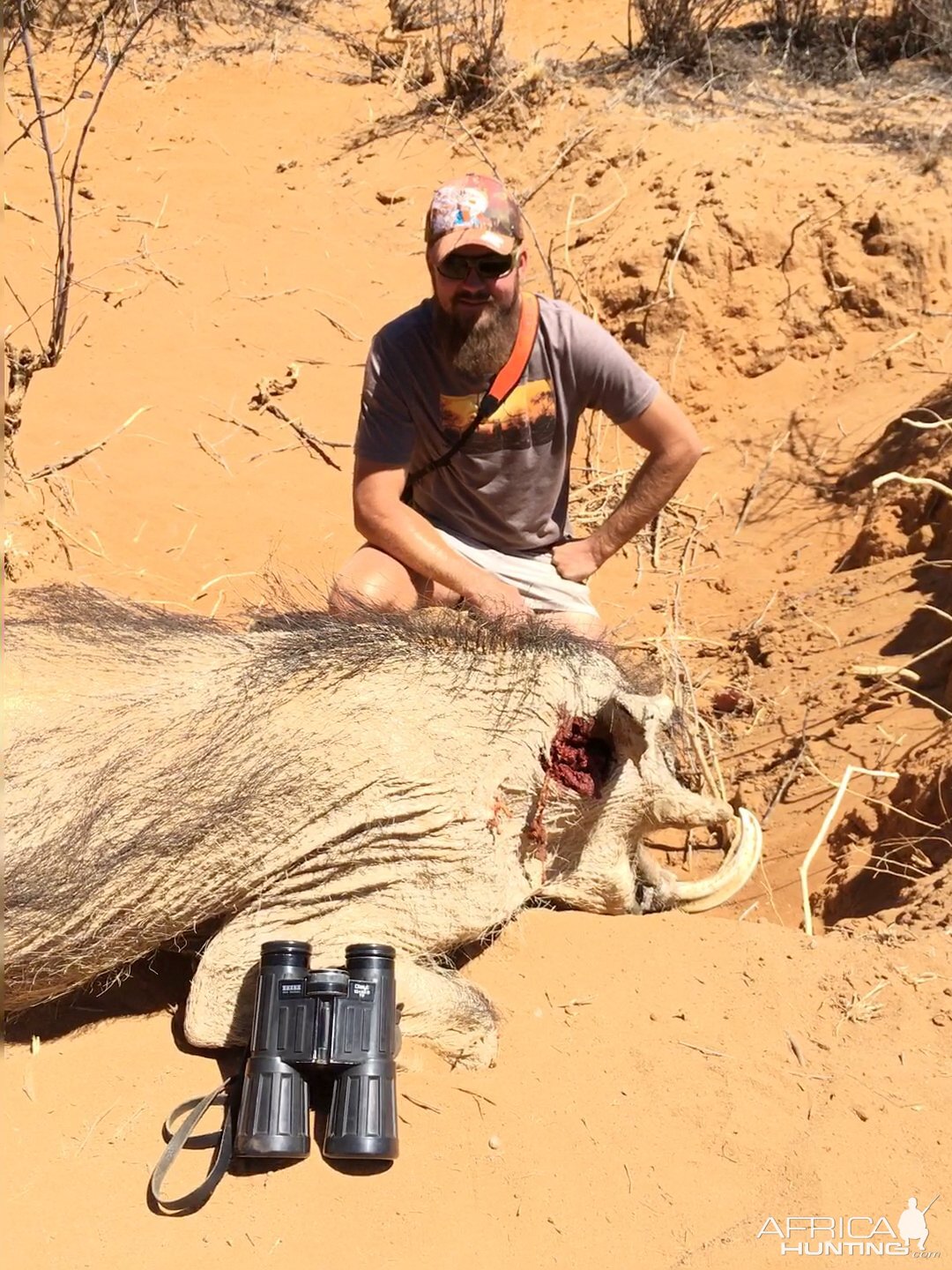 Namibia Hunting Warthog