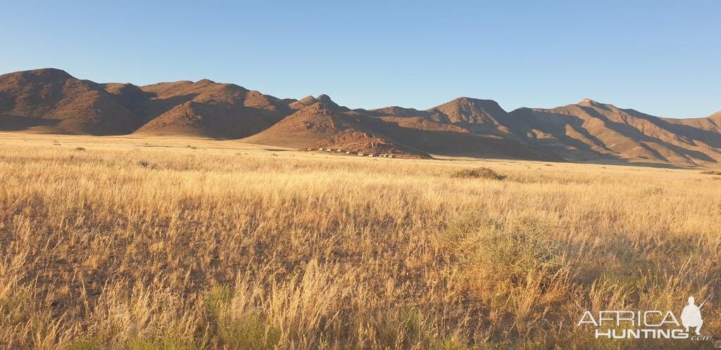 Namibia Nature