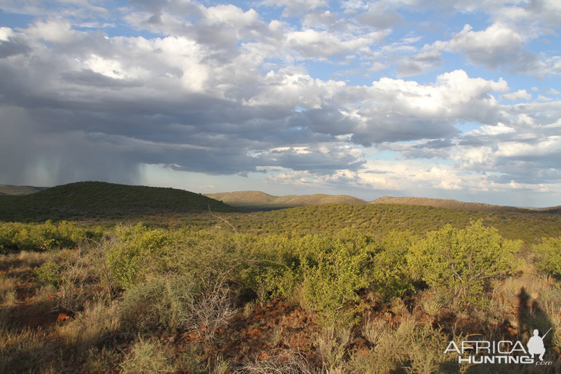 Namibia Nature