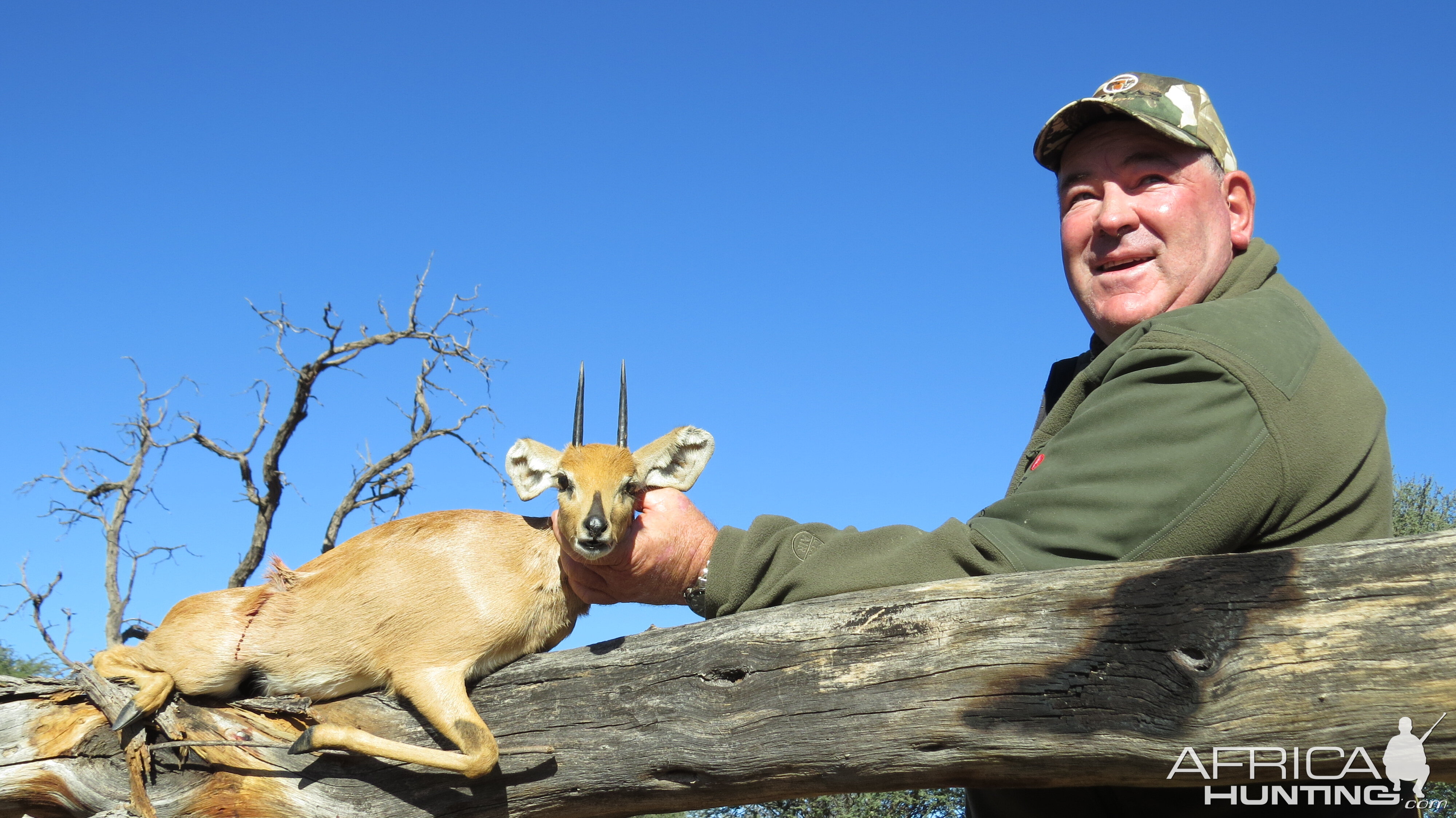 Namibia Steenbok Hunt