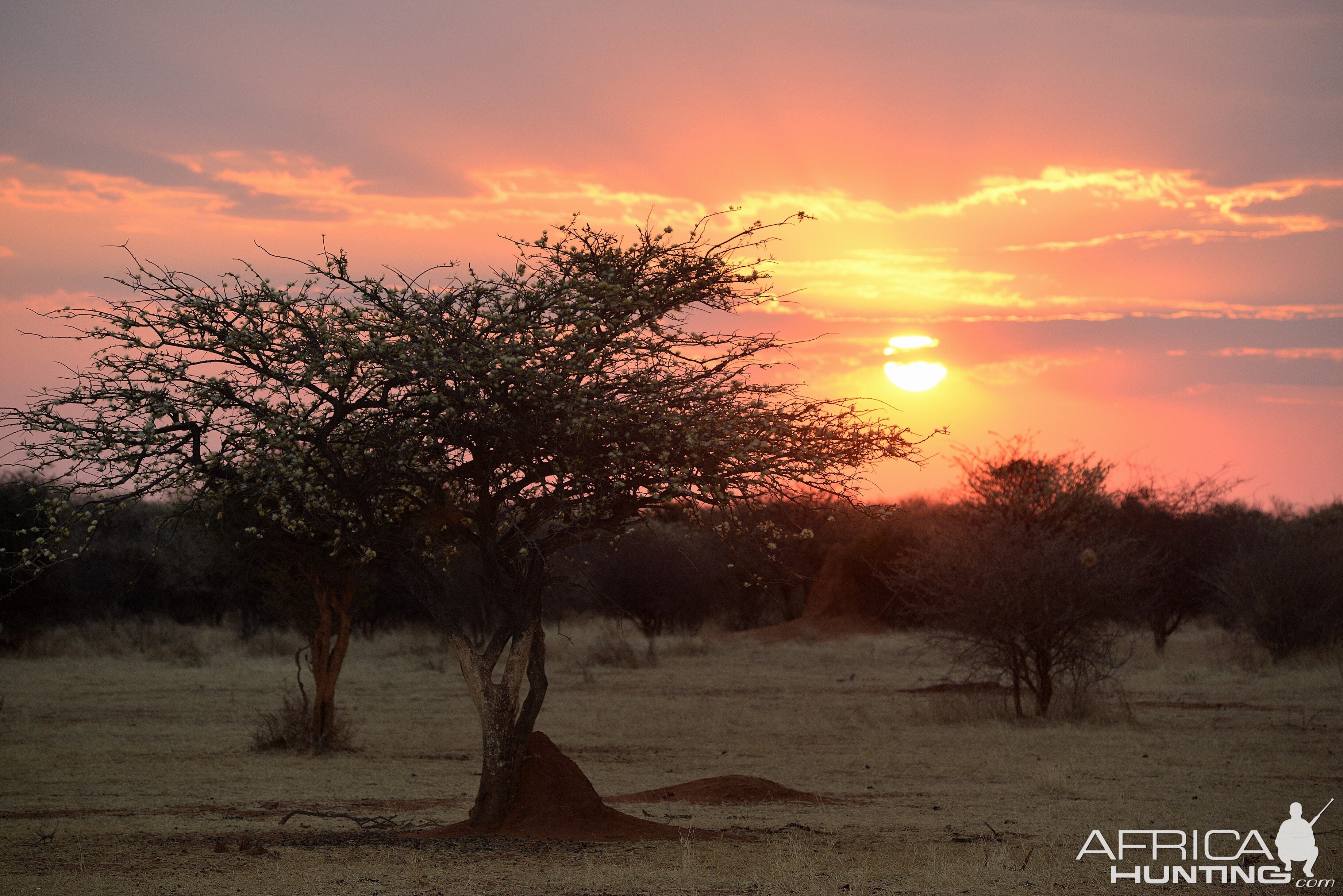 Namibia Sunset