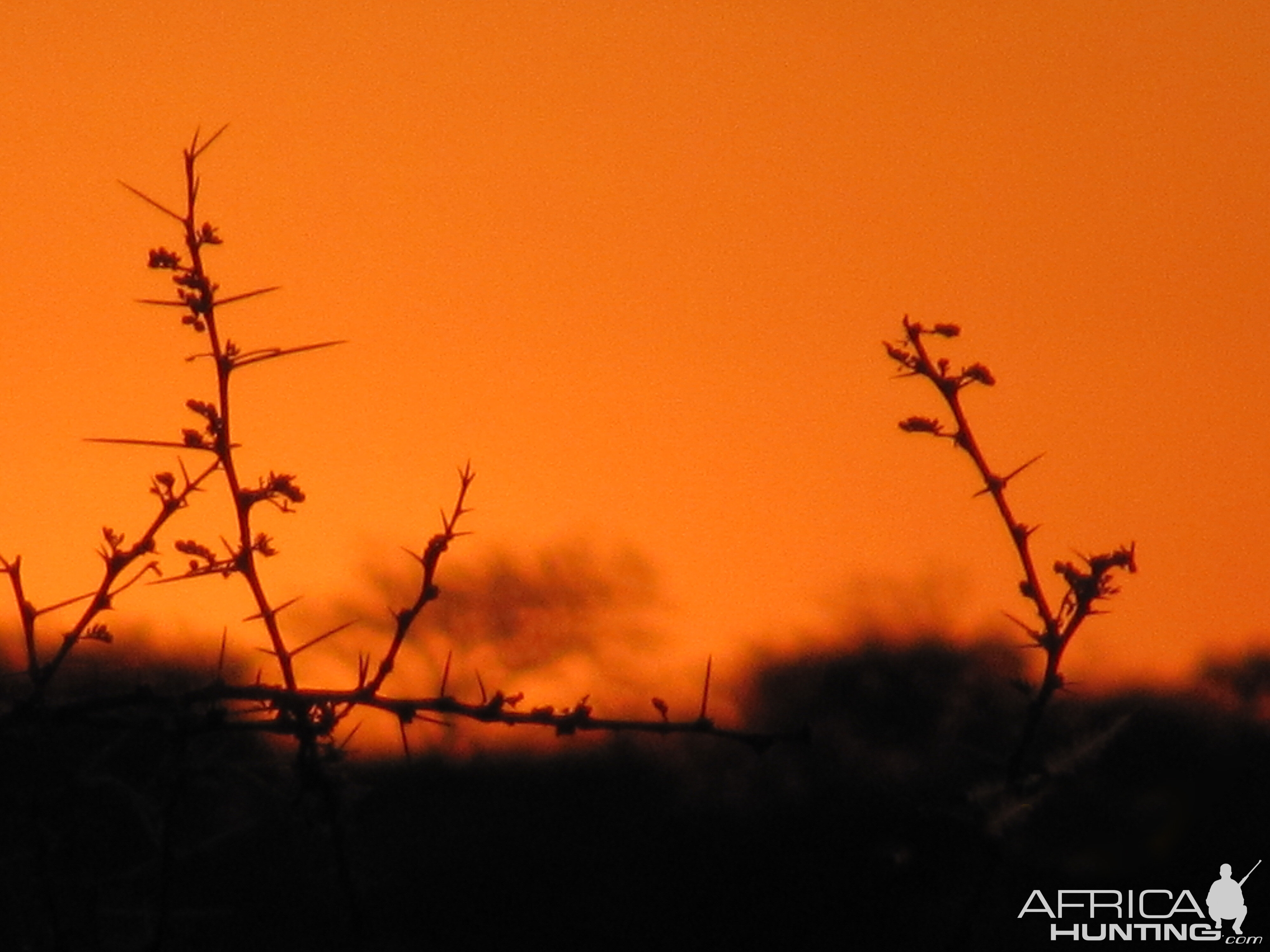 Namibia Sunset