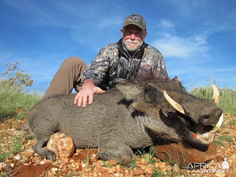 Namibia Warthog Hunt