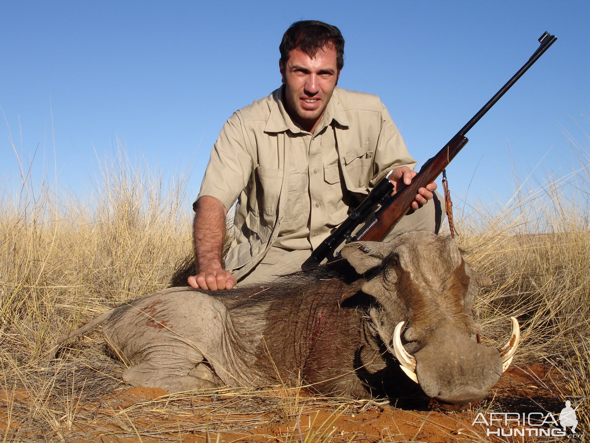 Namibia warthog