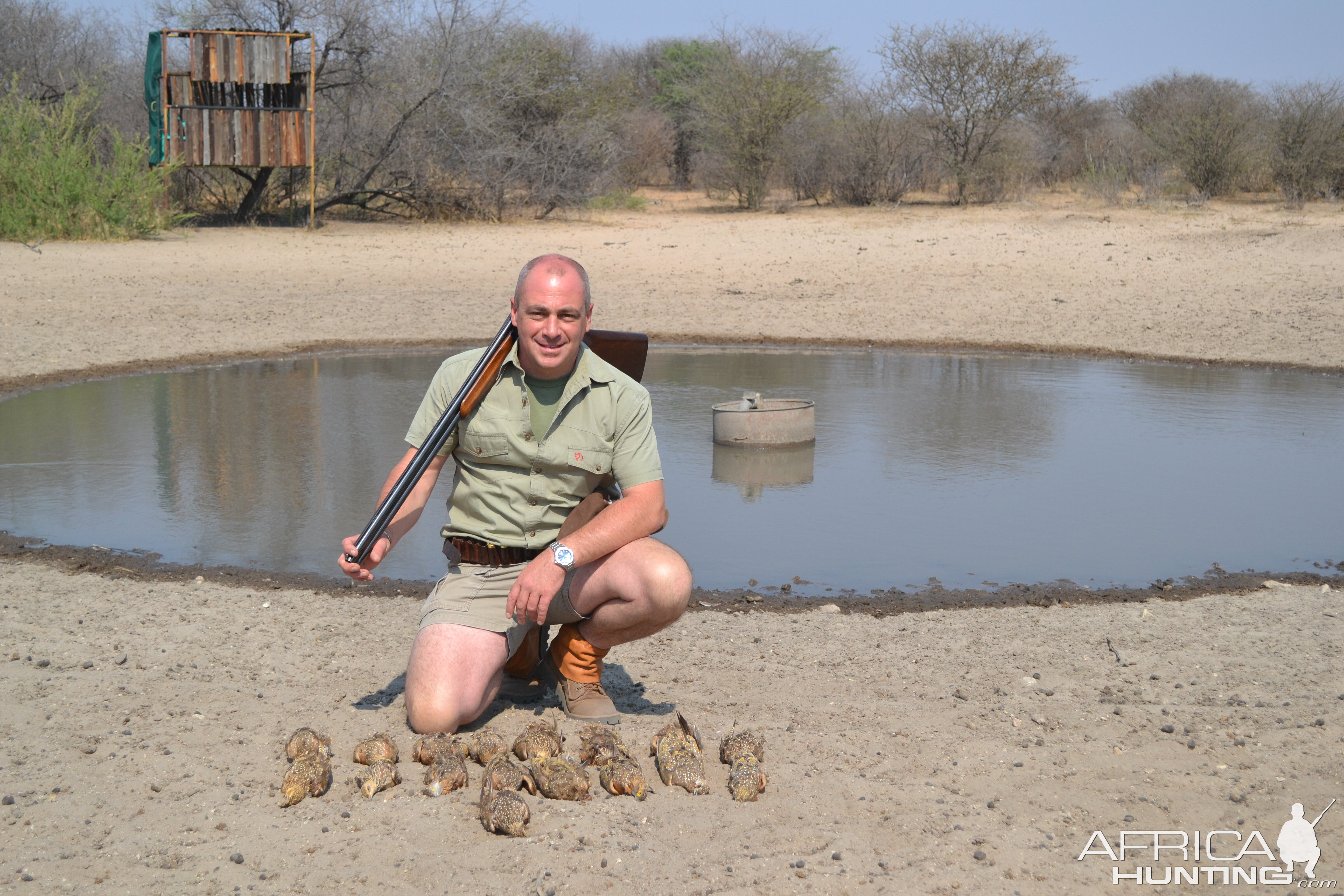 Namibia Wing Shooting Sand Grouse