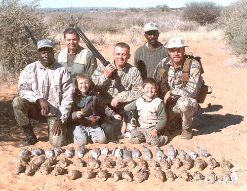 Namibia Wing Shooting Sandgrouse & Dove