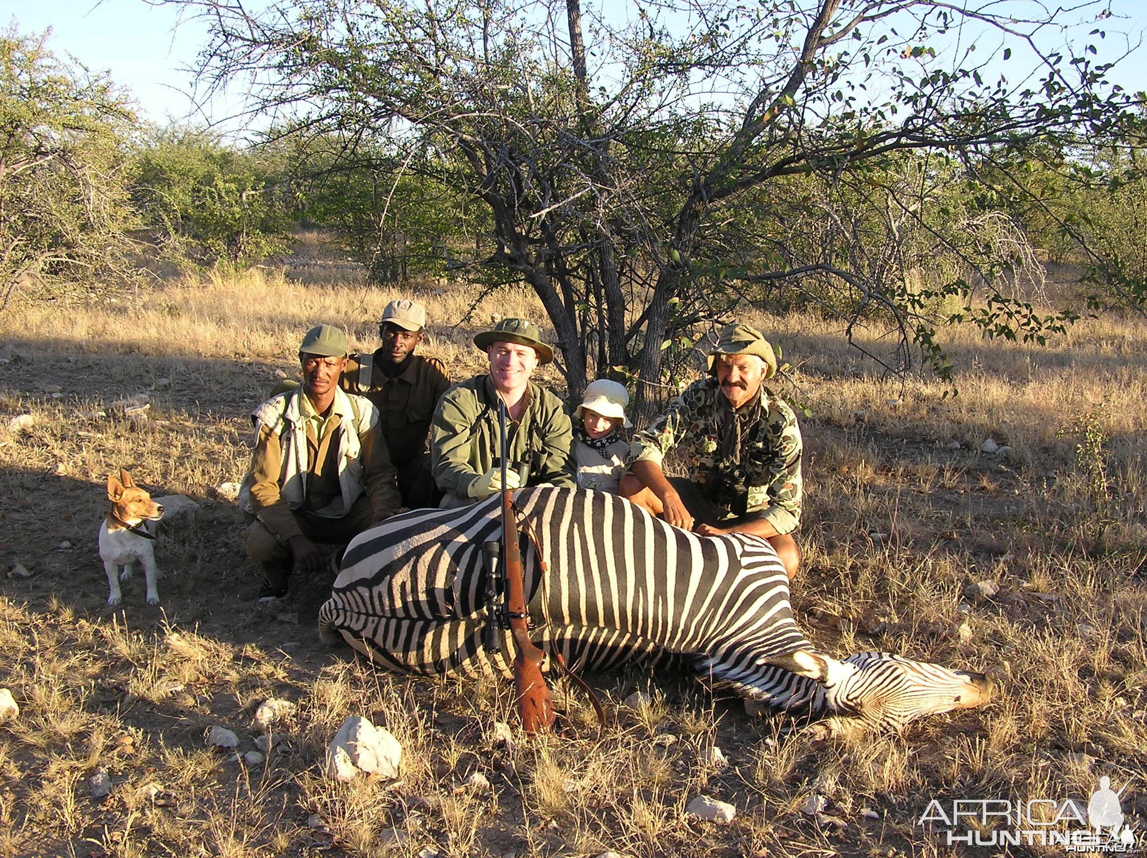 Namibia Zebra