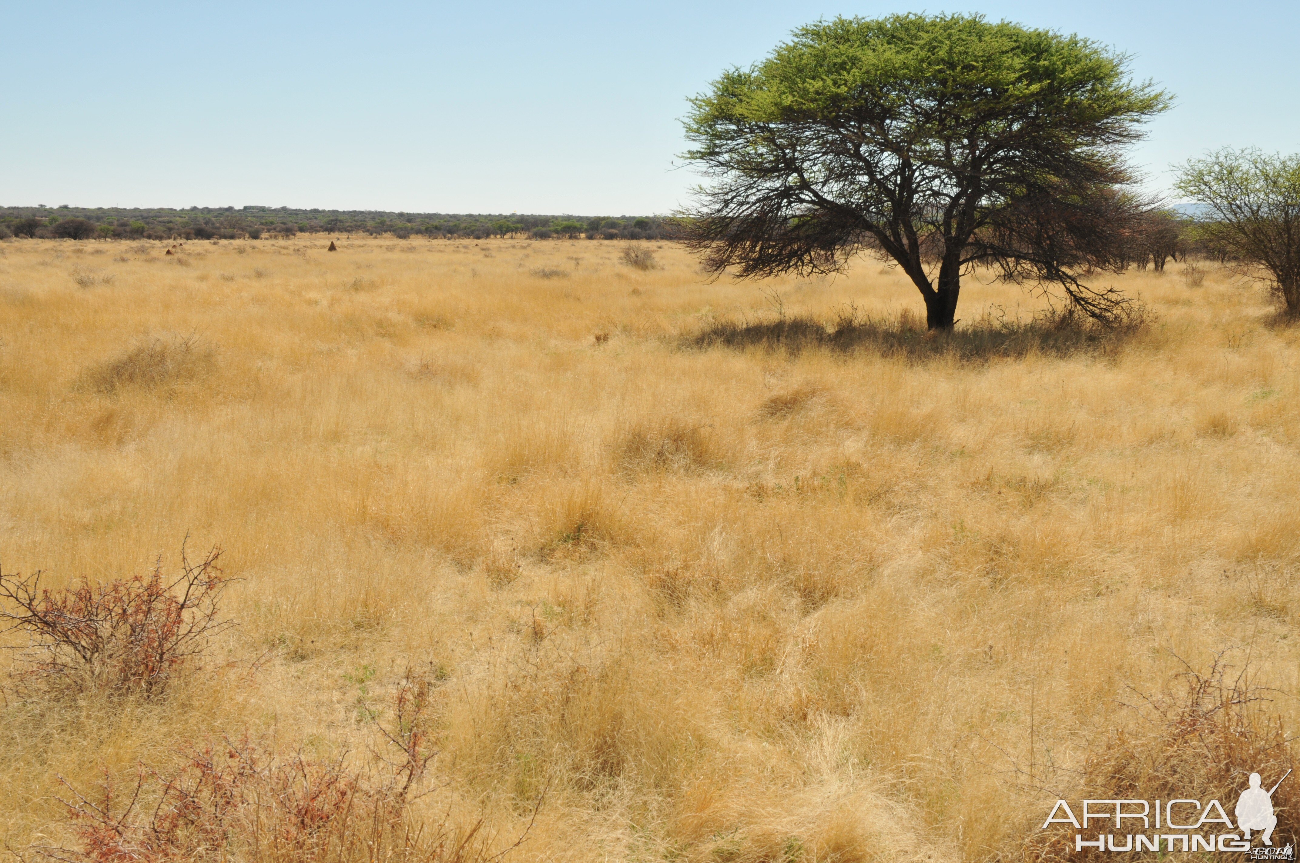 Namibia