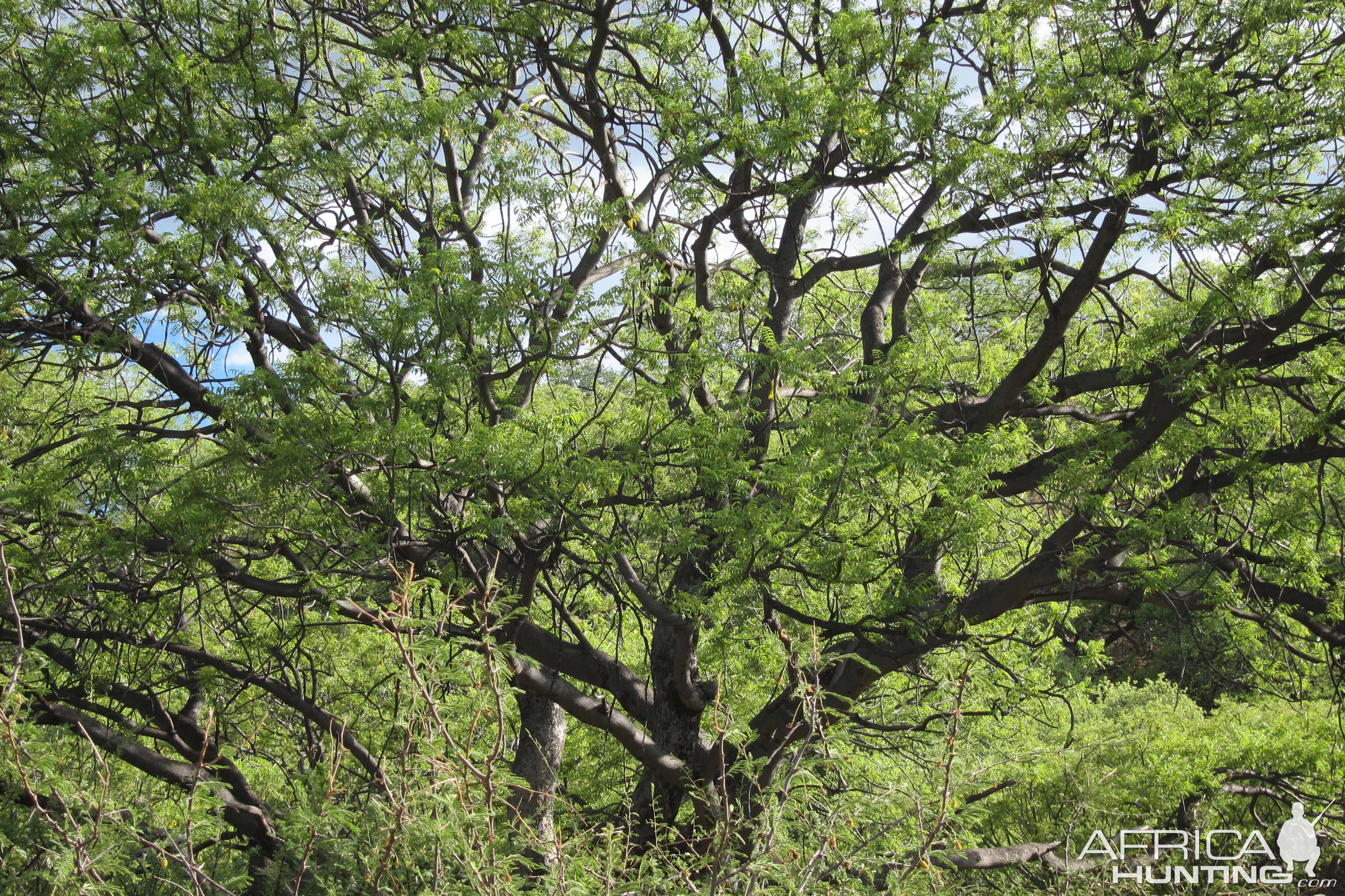 Namibia