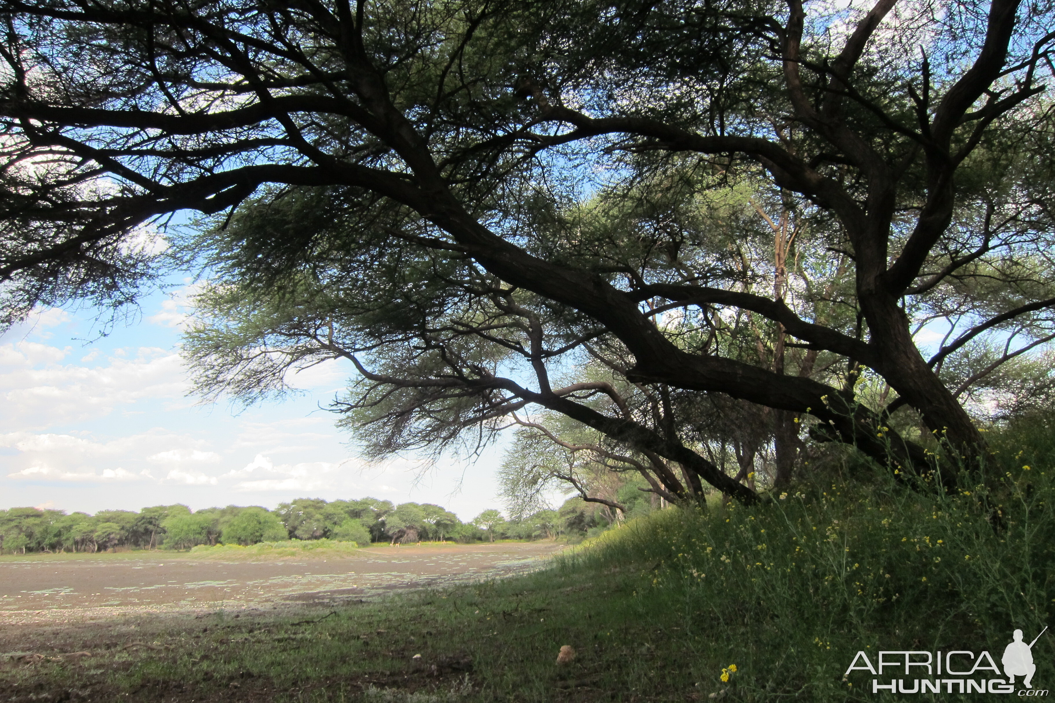 Namibia