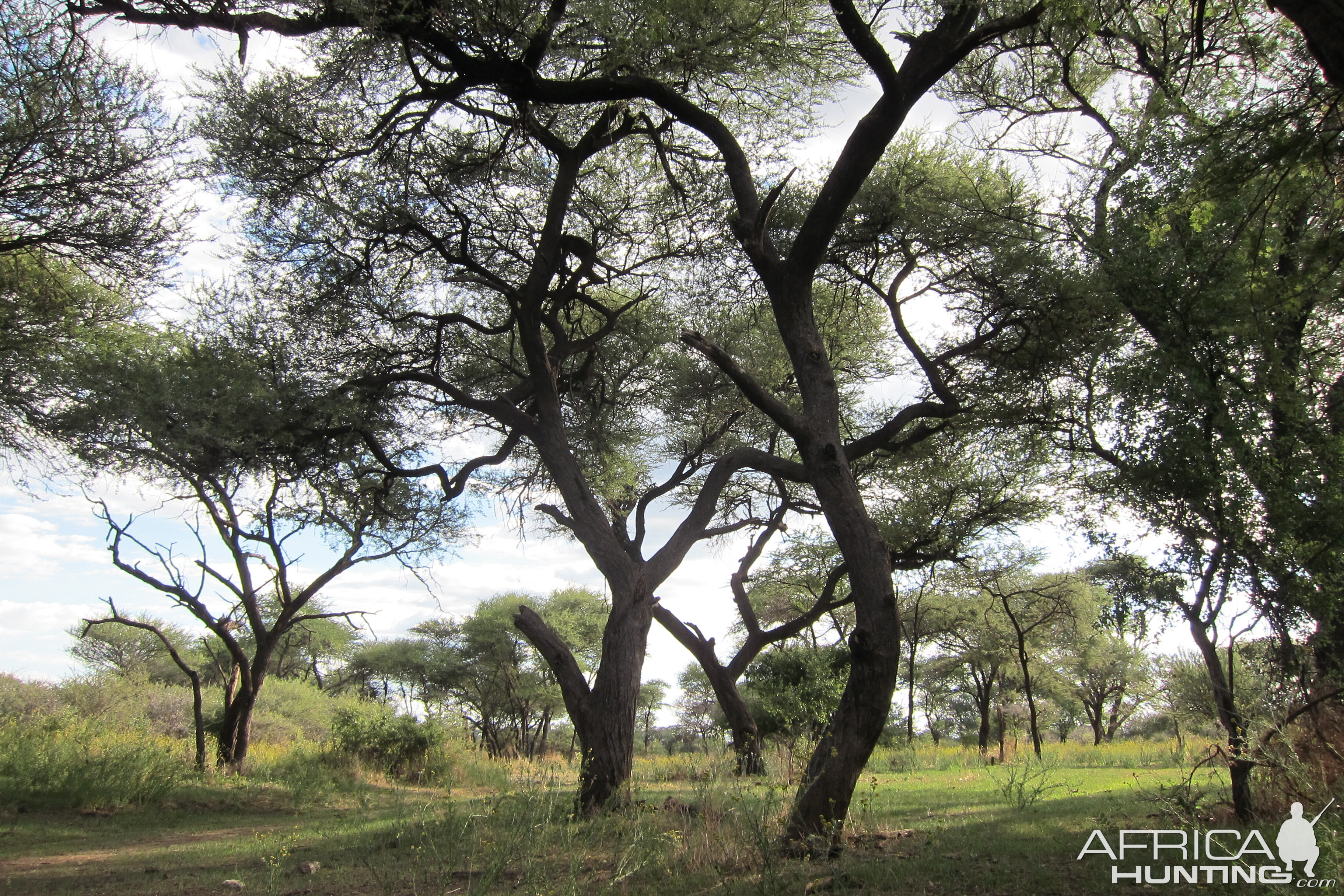 Namibia