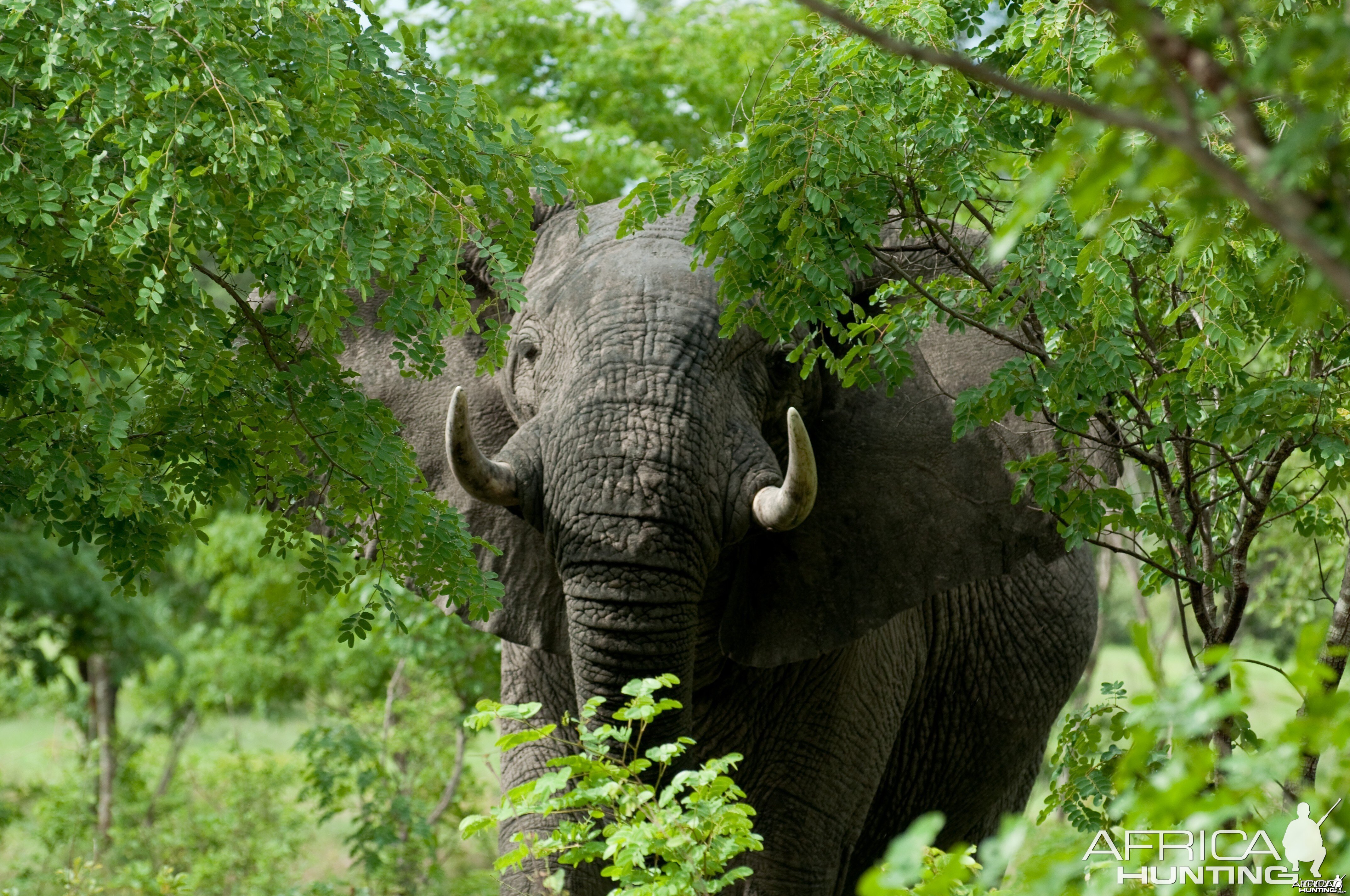 Namibia