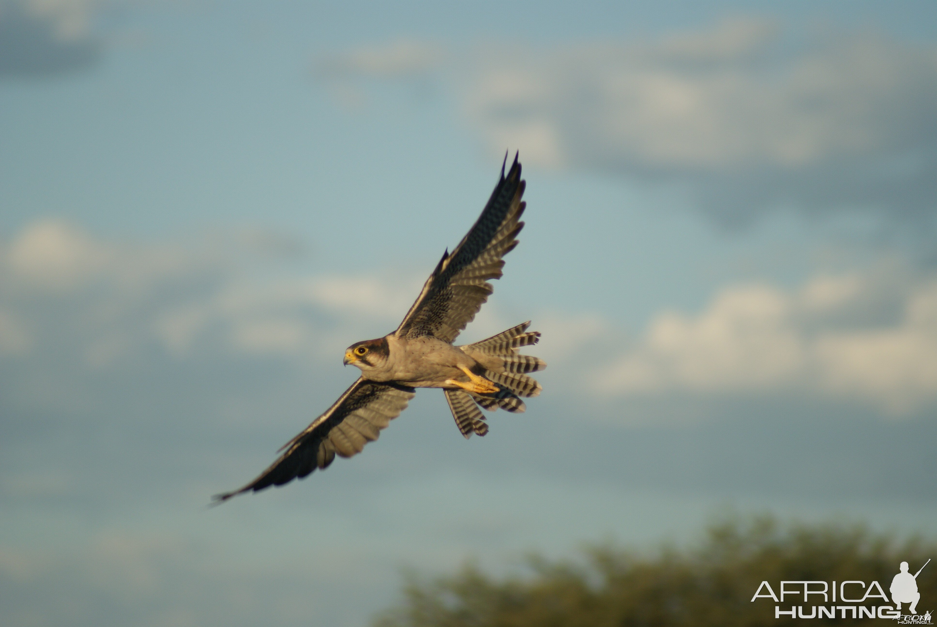 Namibia