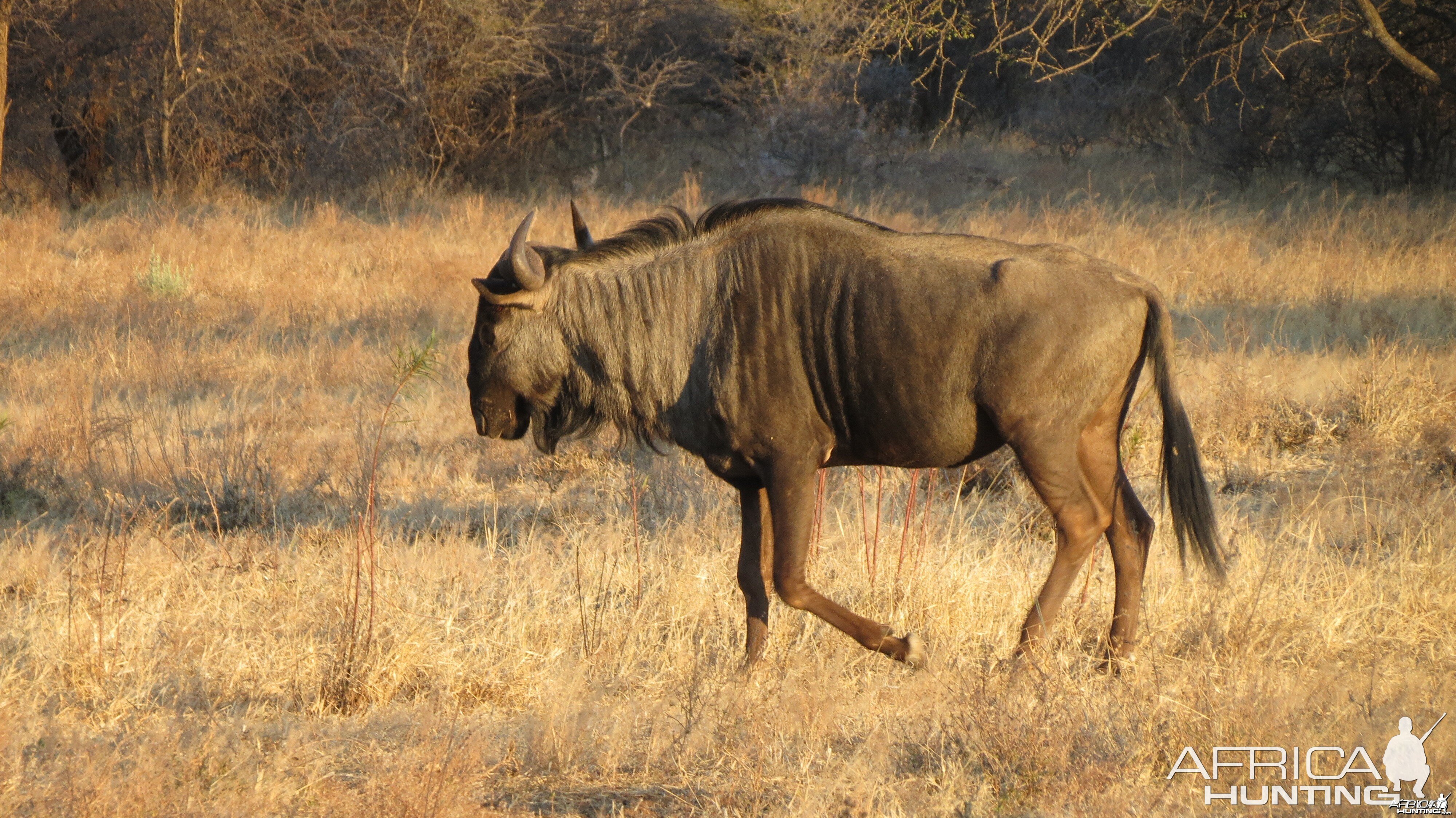 Namibia