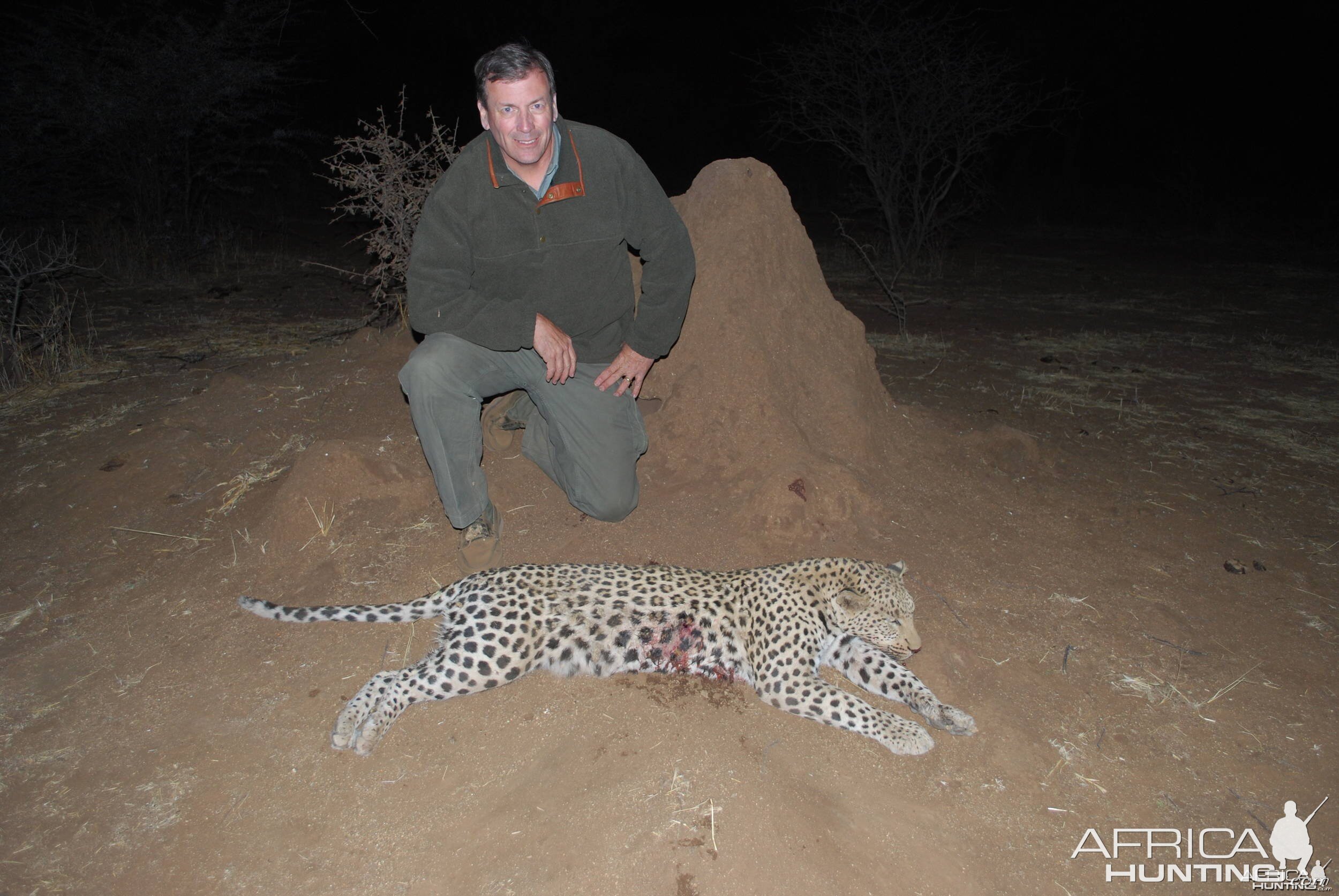 Namibian Leopard