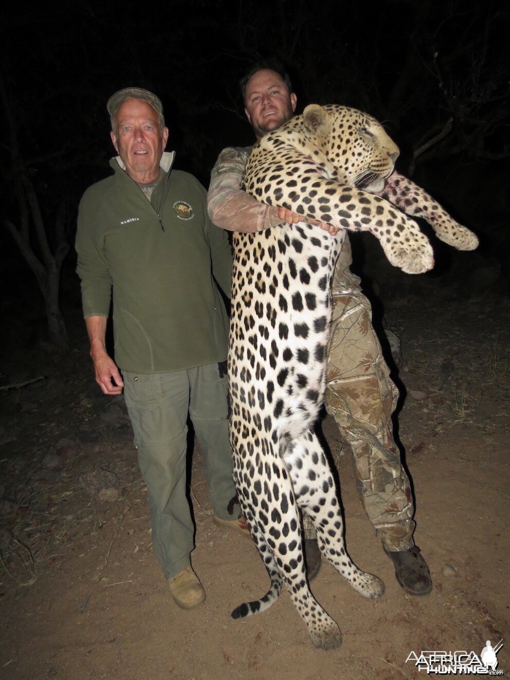 Namibian Leopard