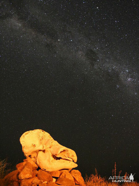 Namibian Skies