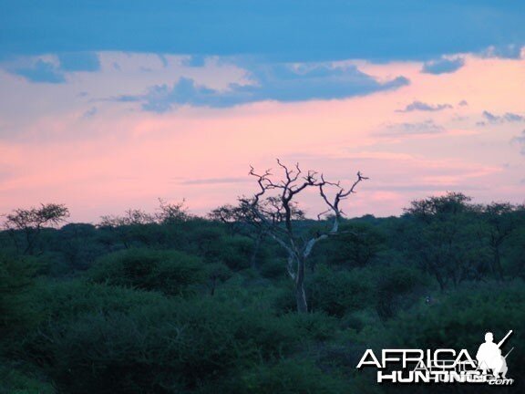 Namibian Sky