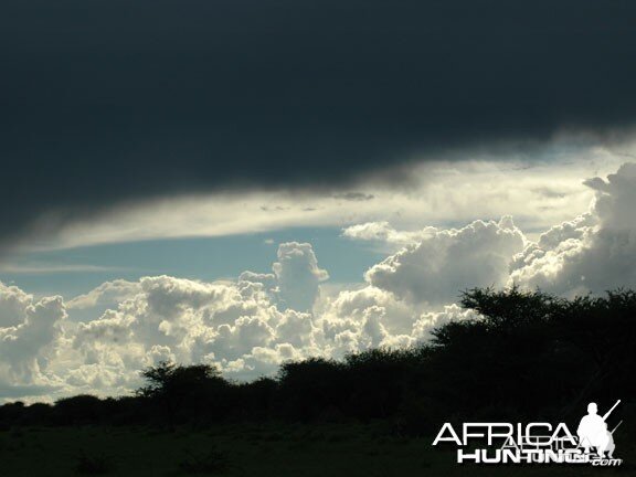 Namibian Sky