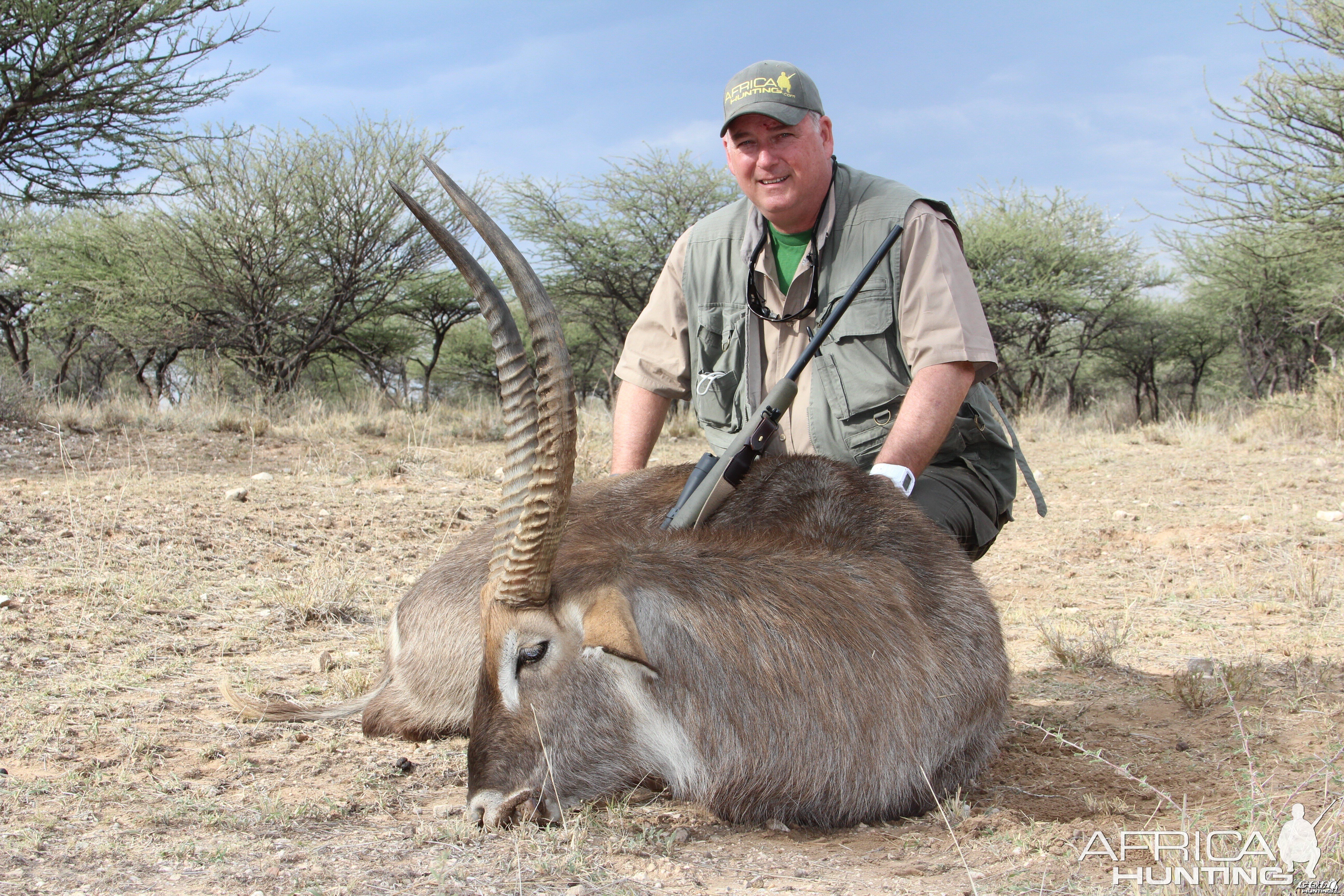 Namibian waterbuck