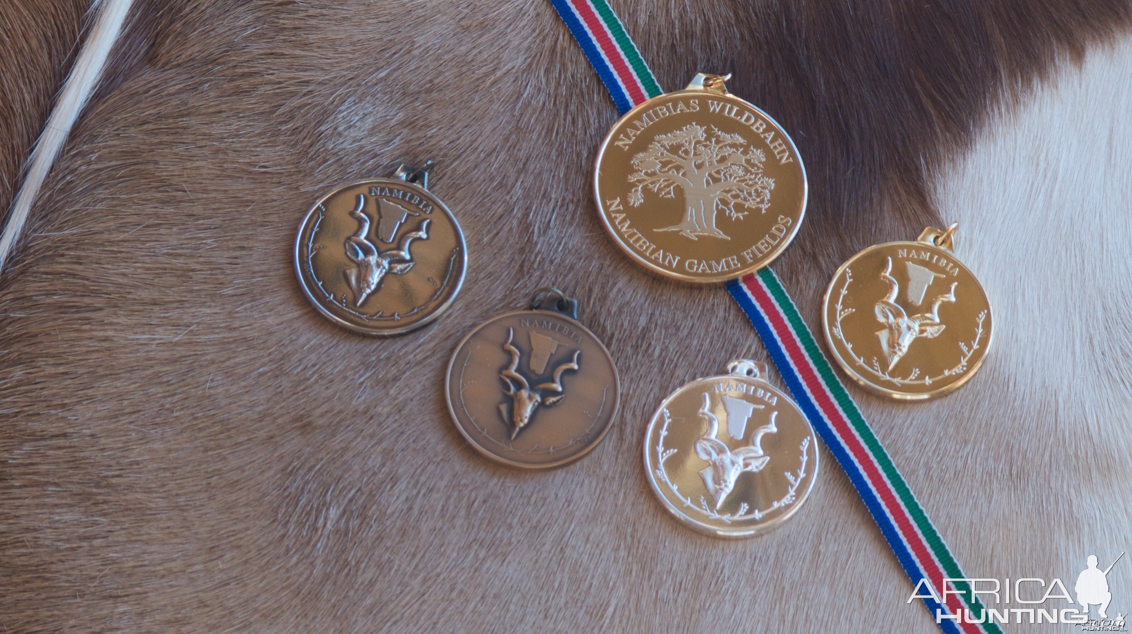 NAPHA medals