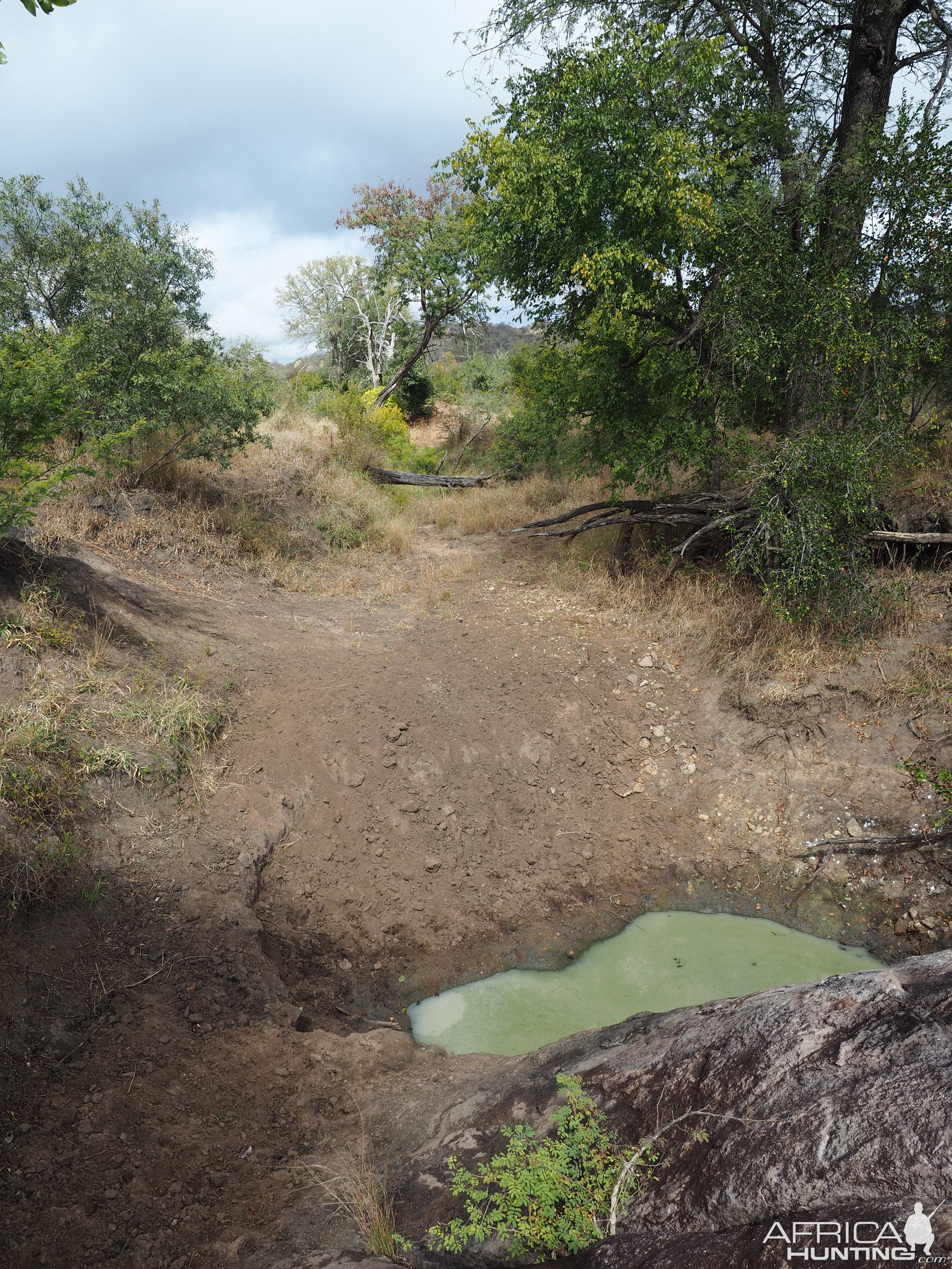 Natural water hole Zimbabwe