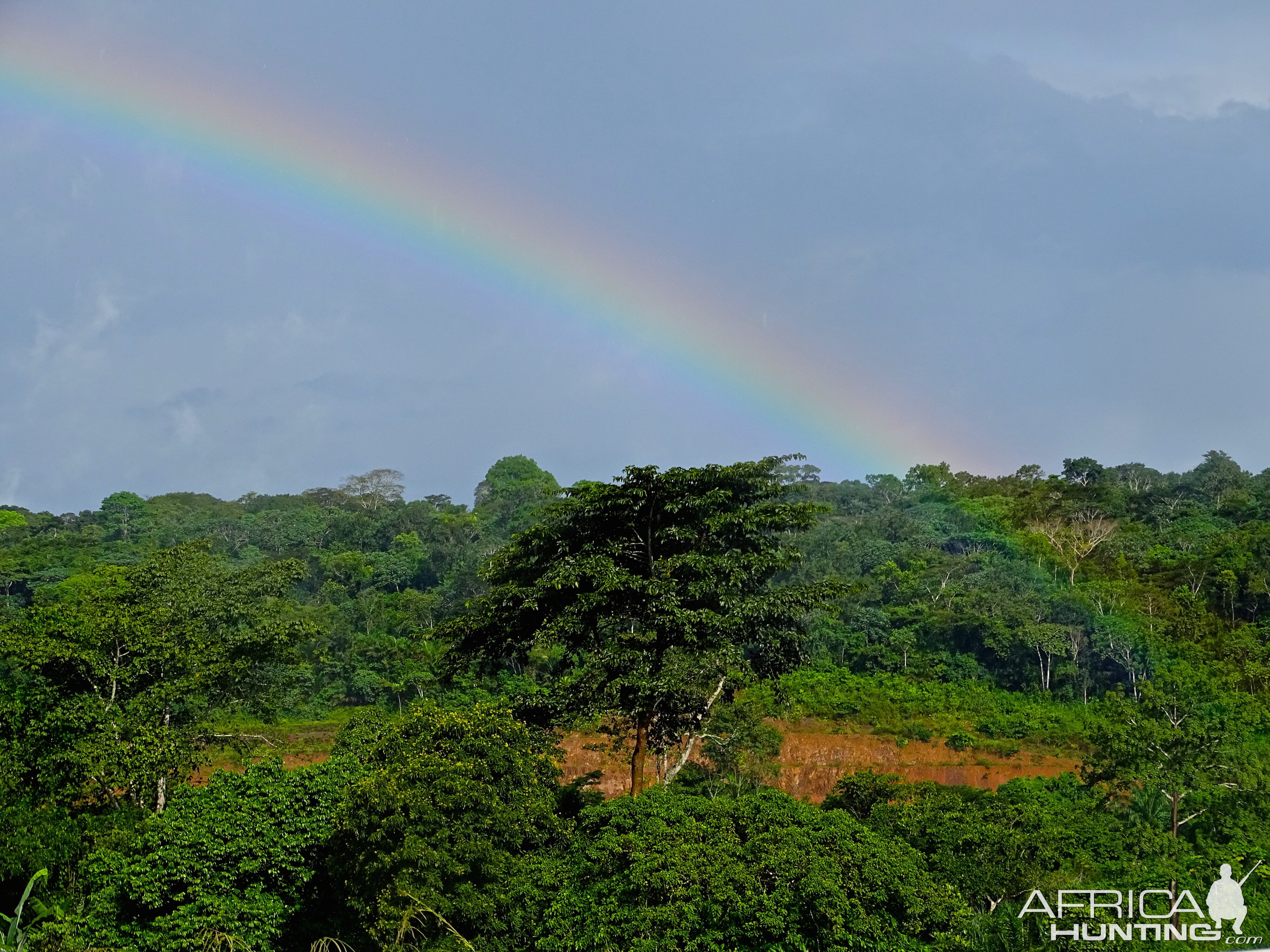 Nature Congo