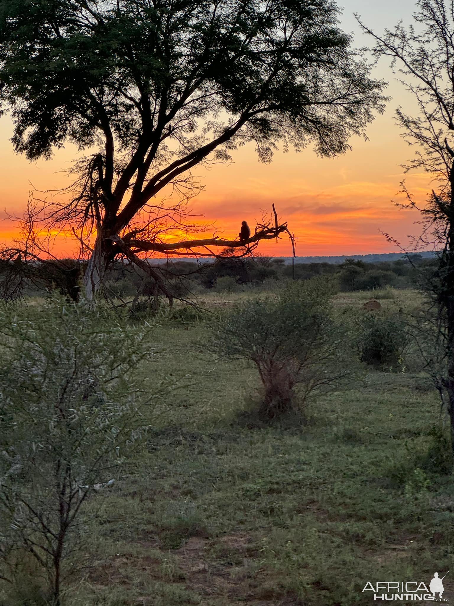 Nature Mozambique