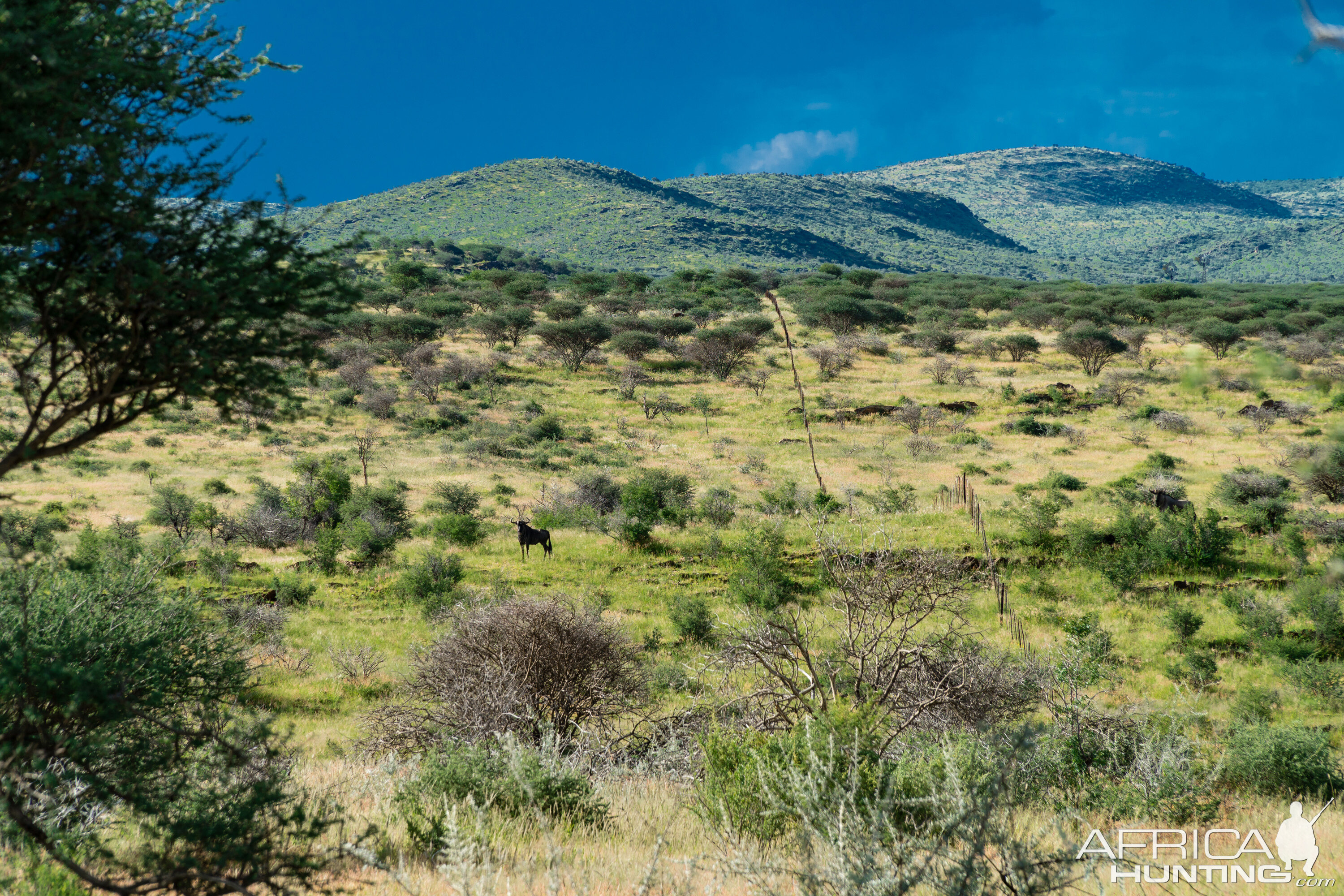 Nature Namibia Landscape