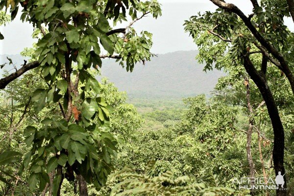 Nature Scene Cameroon