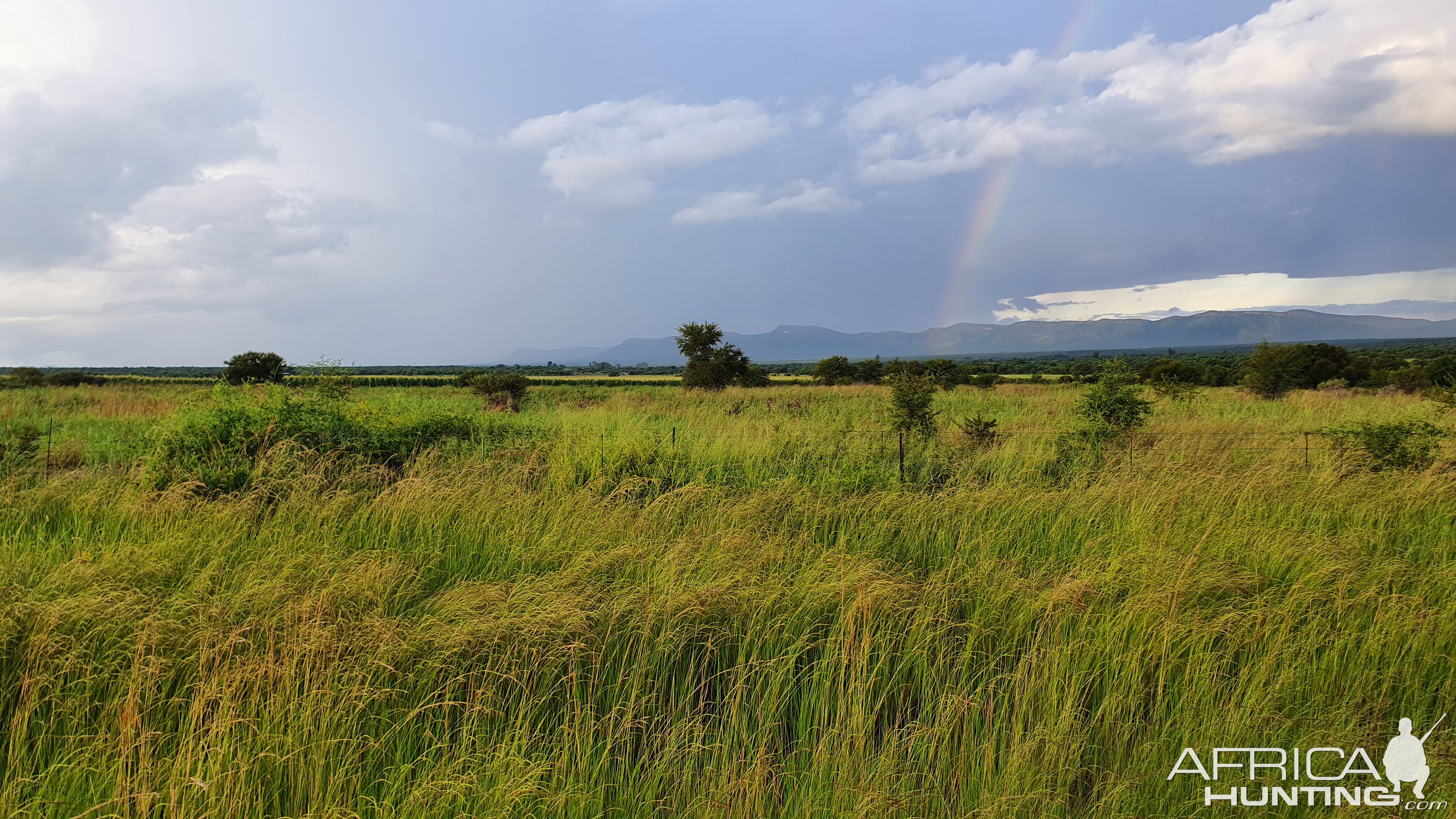 Nature South Africa