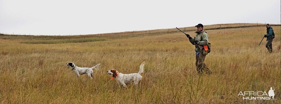 Nebraska Prairie Bird Hunt