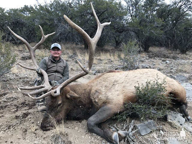 Nevada Hunting Elk