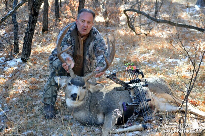 New Mexico Mule Deer Hunting