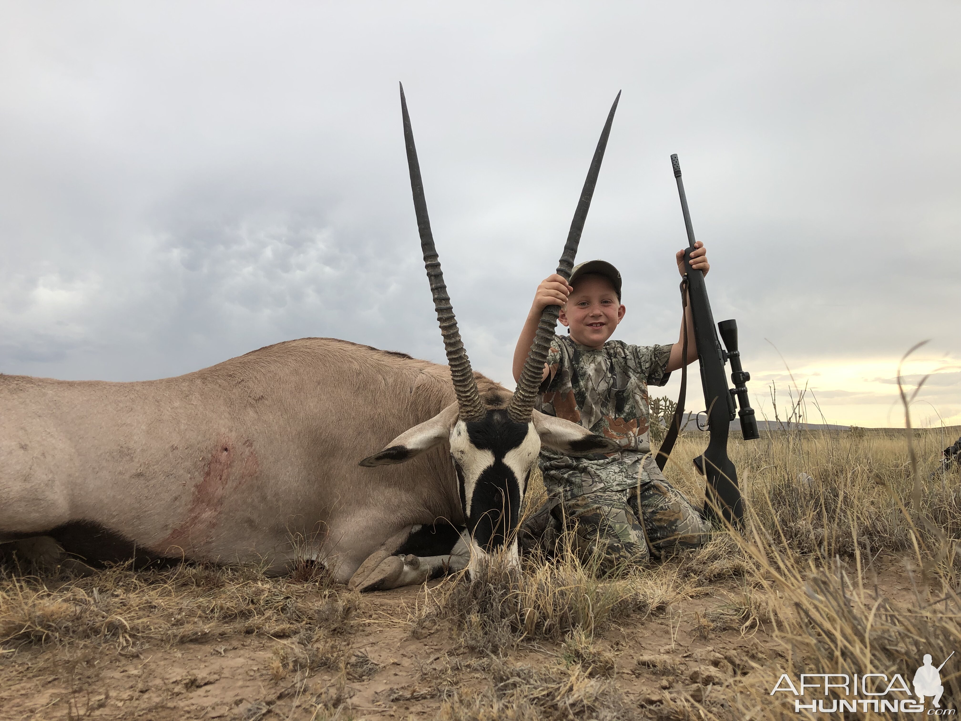 New Mexico oryx