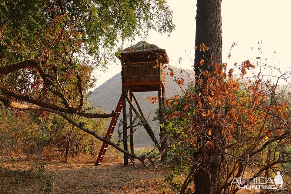 New observation/hunting towers are build in Rosewood for selective trophy hunting