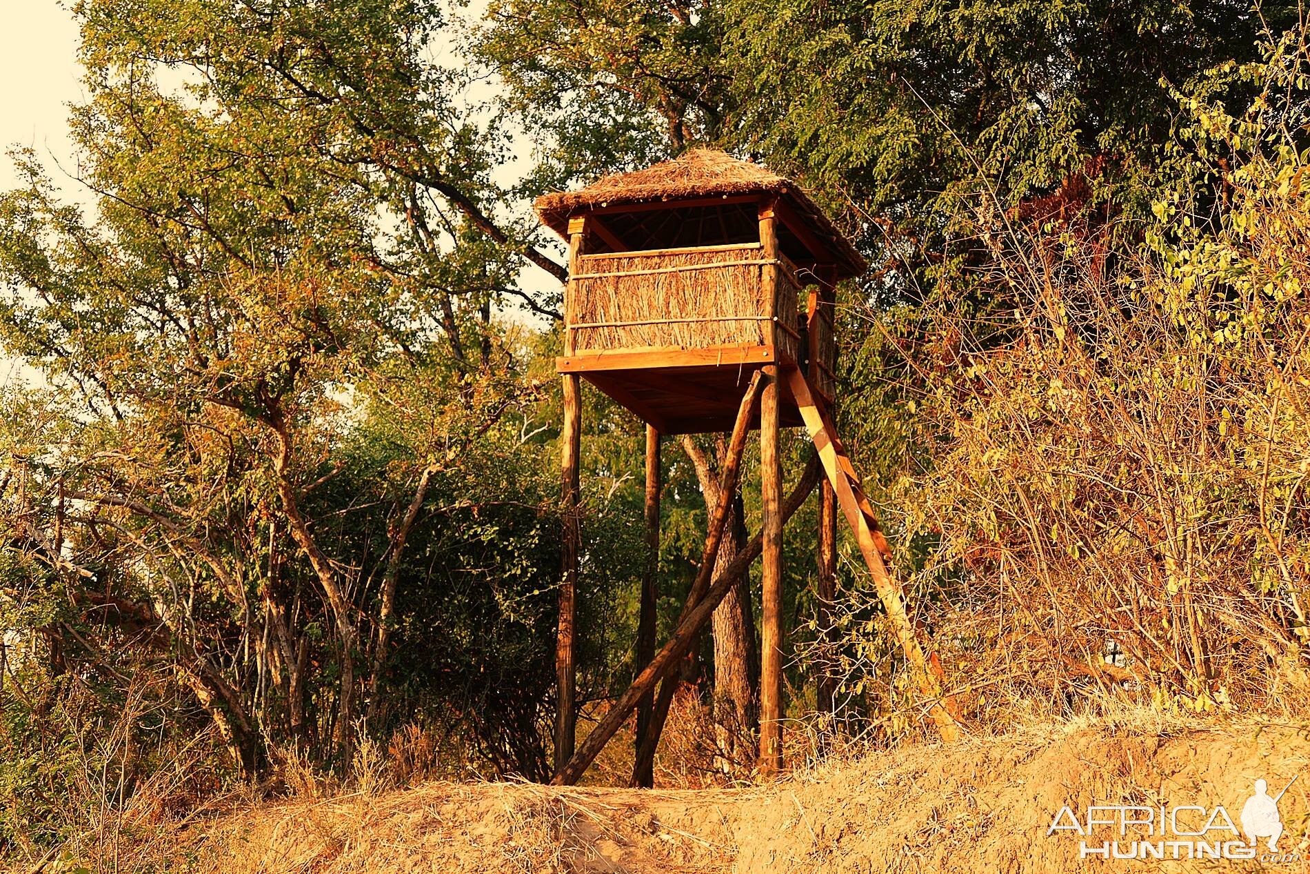 New observation/hunting towers are build in Rosewood for selective trophy hunting