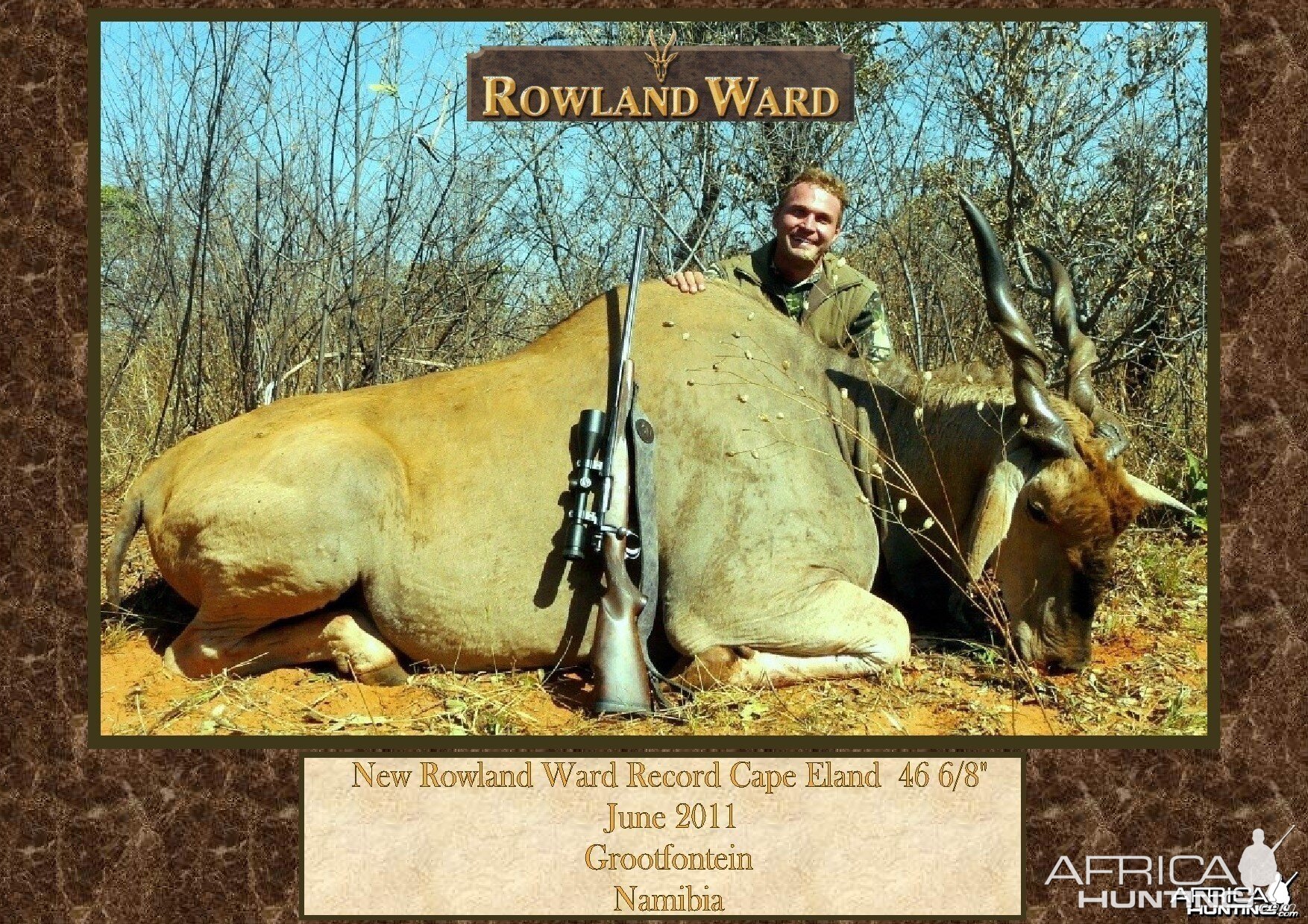 New Record Cape Eland  46 6/8â€ hunted by Charl Kemp