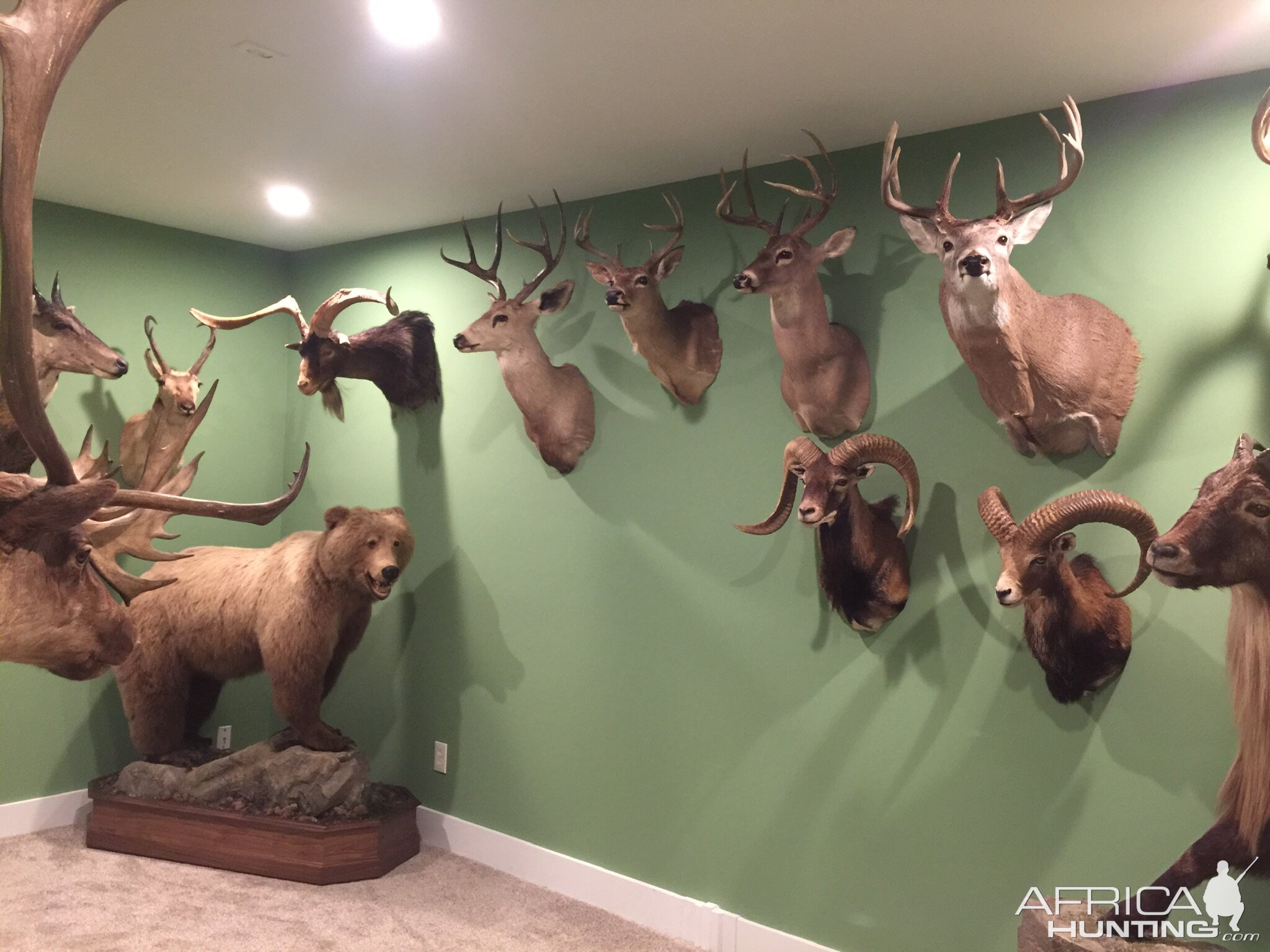 New Trophy Room