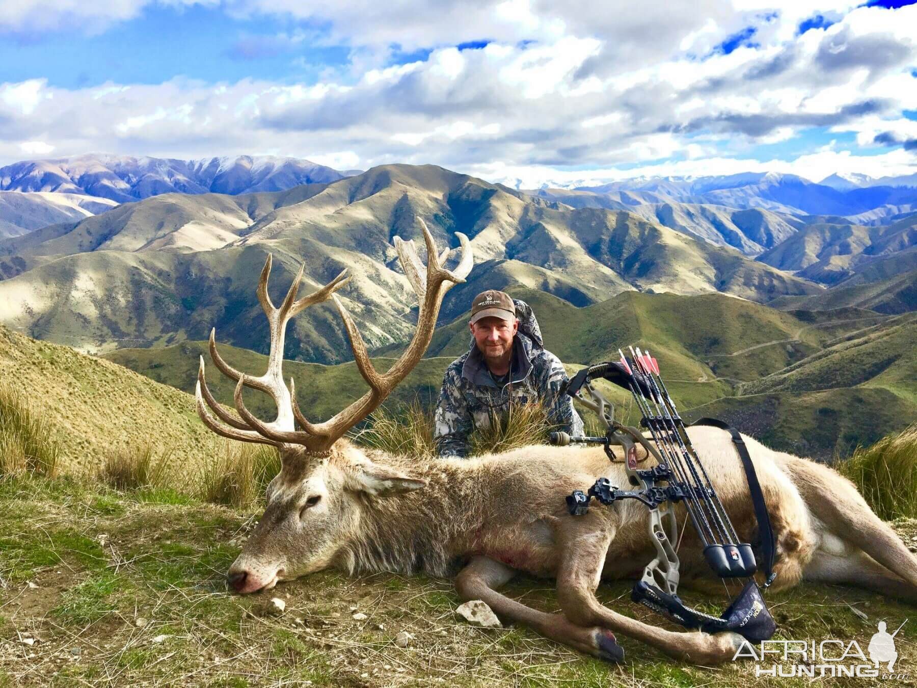 New Zealand Bow Hunt Red Stag