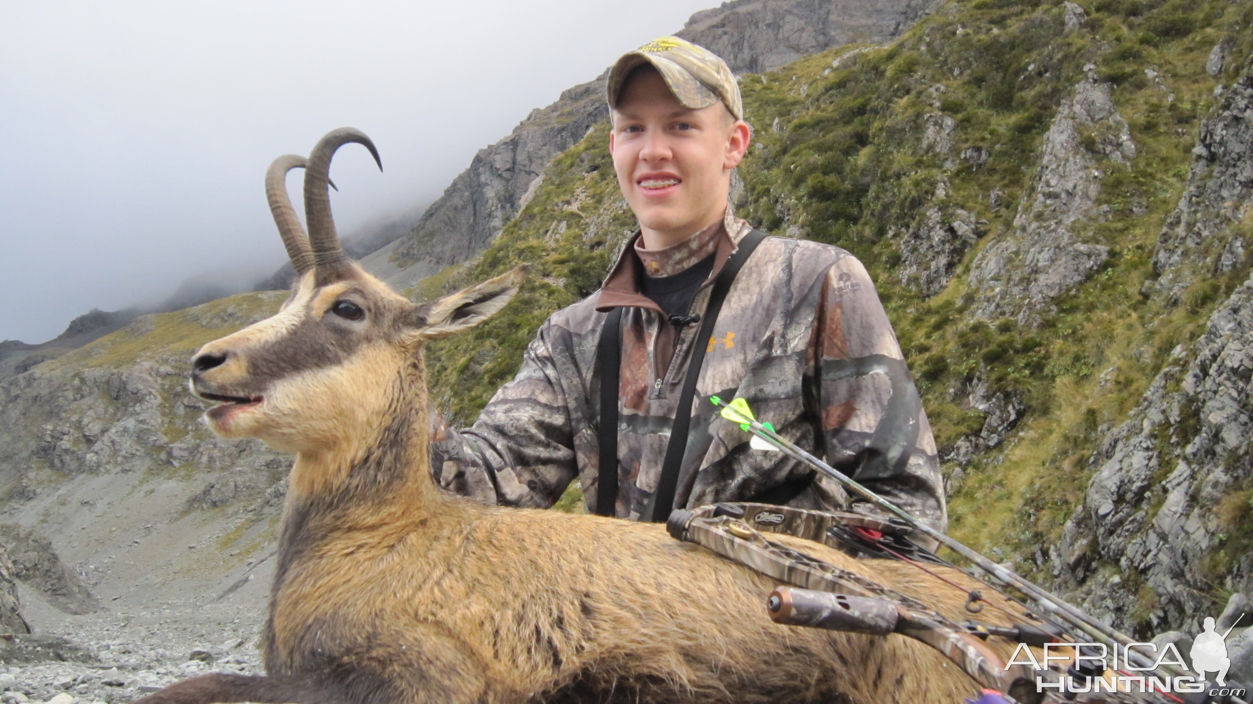 New Zealand Chamois