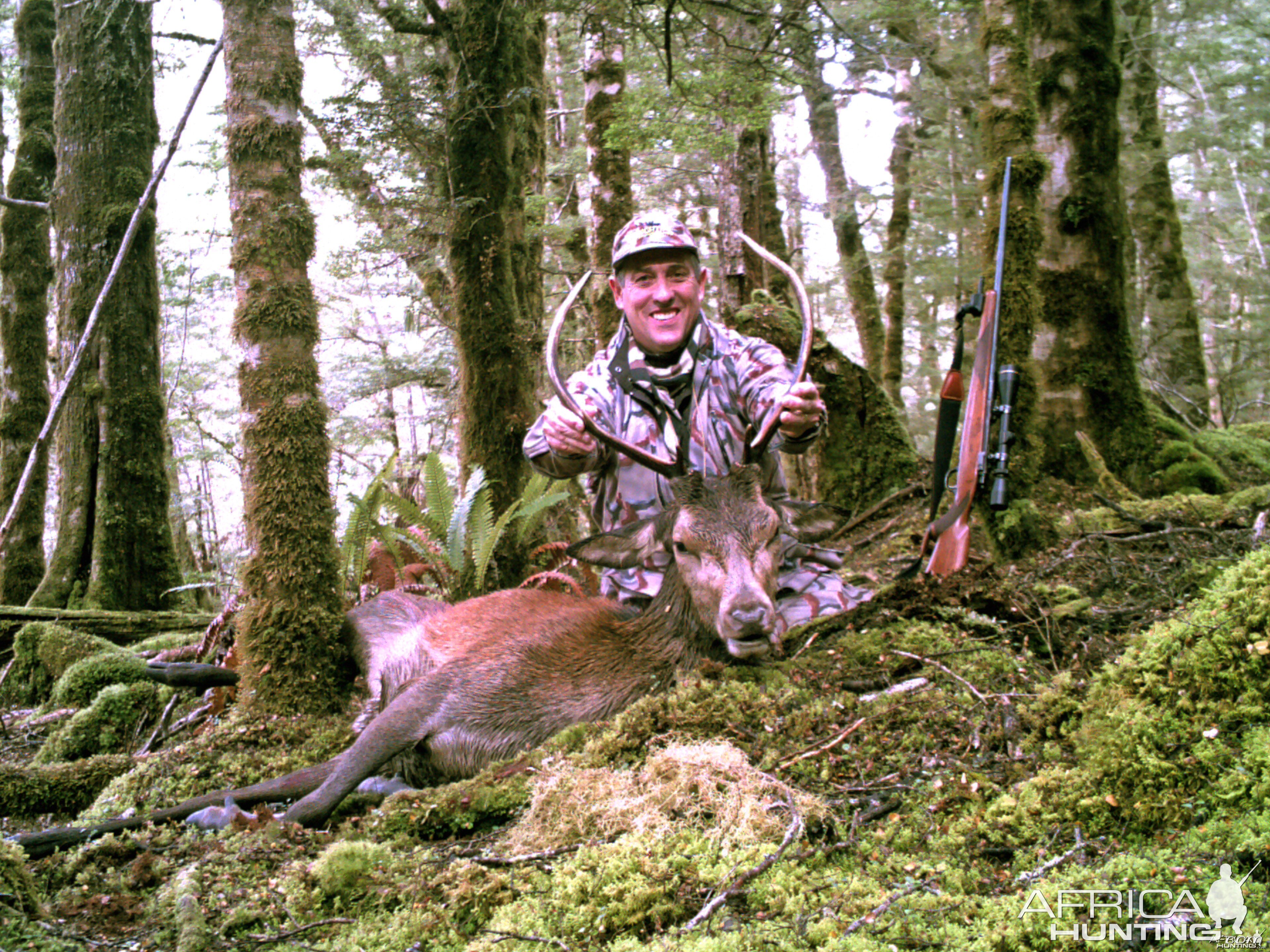 New Zealand free-range Red Stag