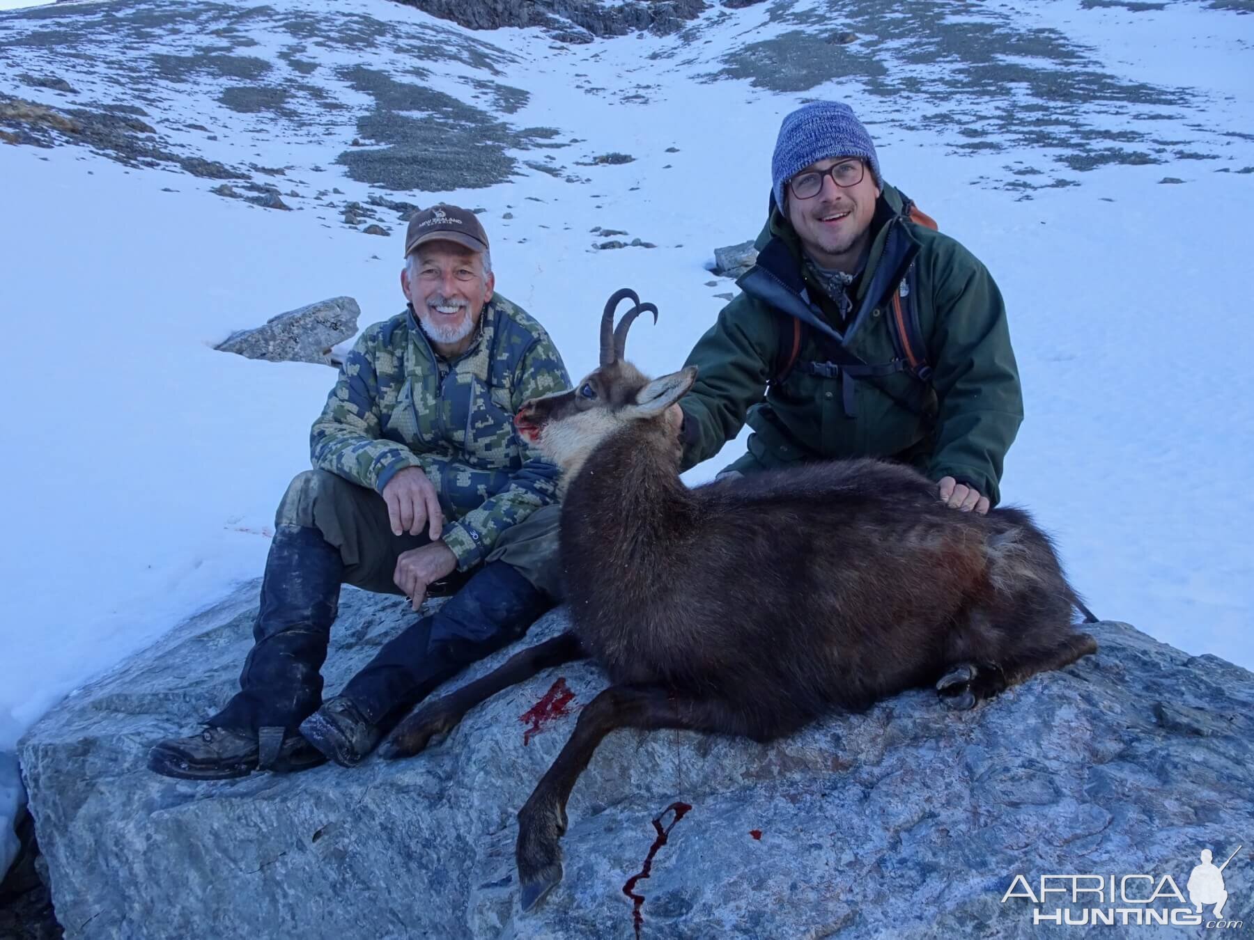 New Zealand Hunt Alpine Chamois