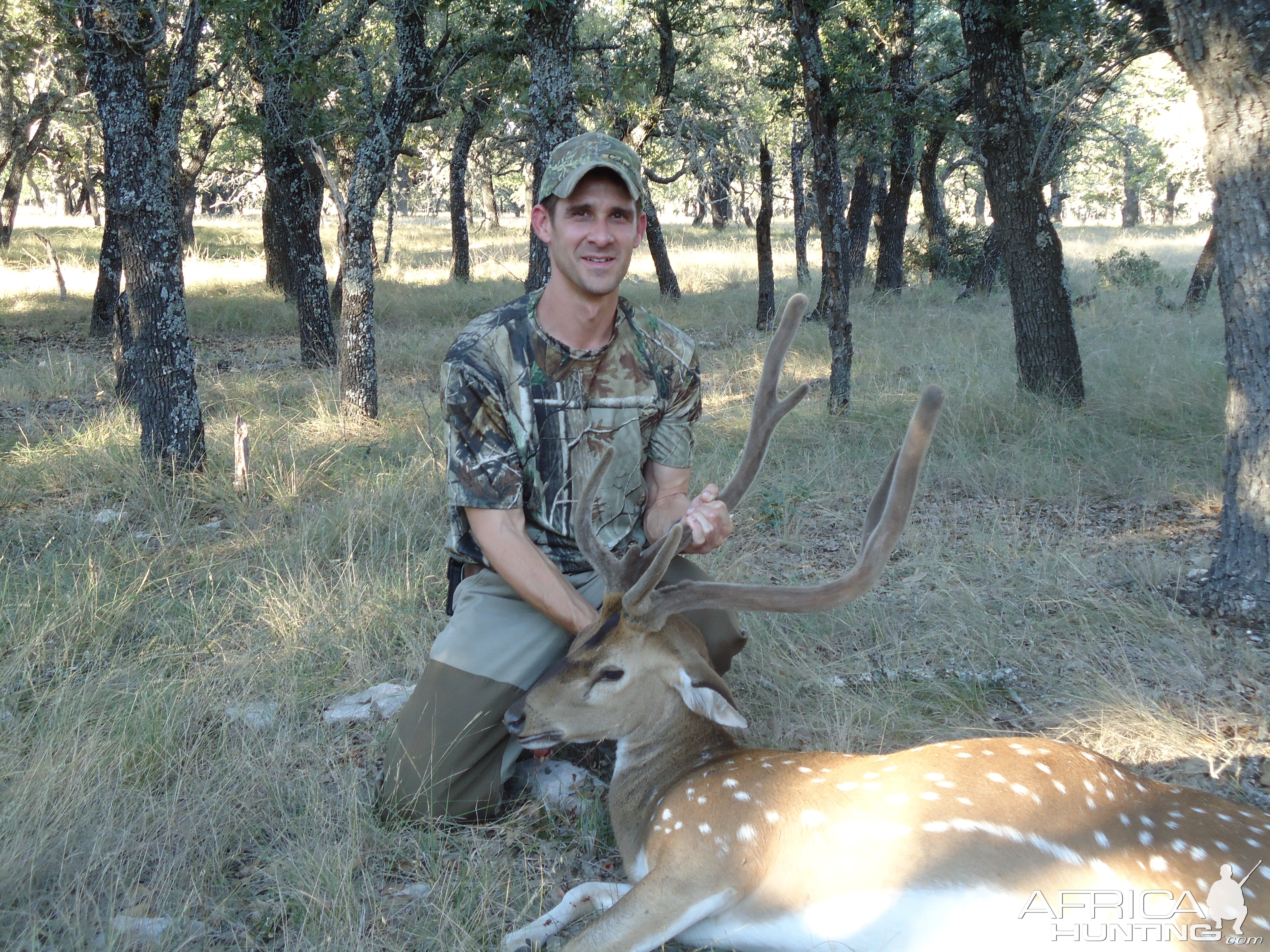 New Zealand Hunt Axis Deer