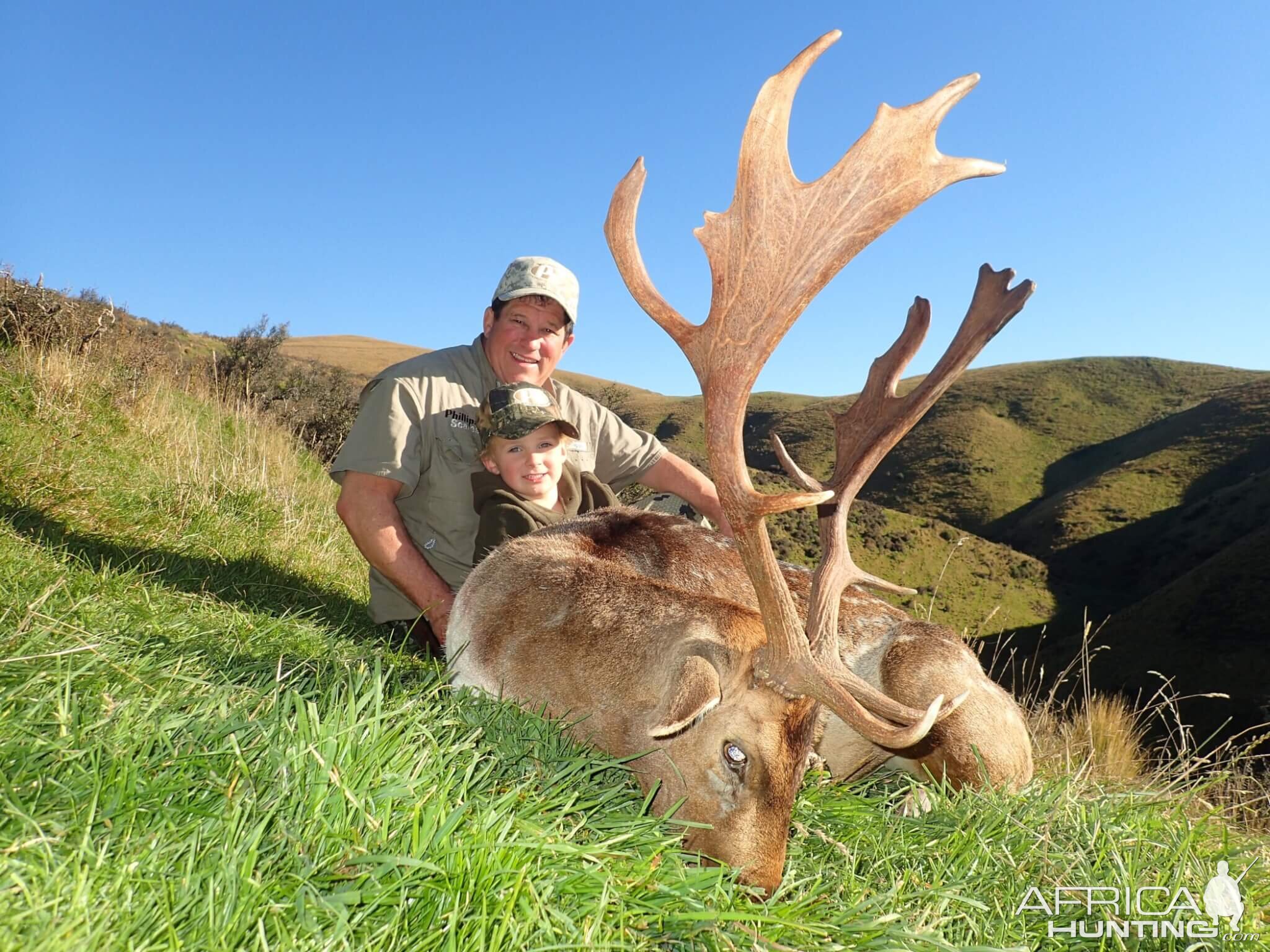 New Zealand Hunt Fallow Deer